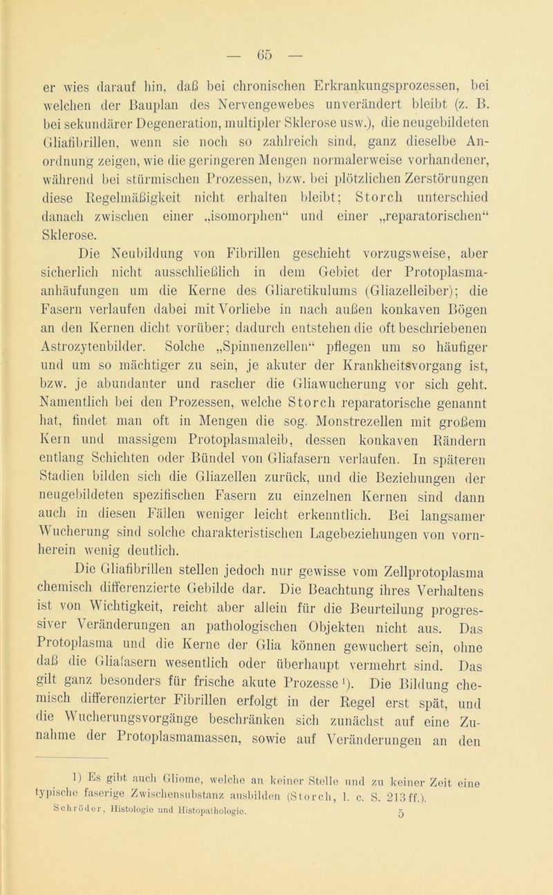 er wies darauf hin, daß bei chronischen Erkrankungsprozessen, bei welchen der Bauplan des Nervengewebes unverändert bleibt (z. B. bei sekundärer Degeneration, multipler Sklerose usw.), die neugebildeten Gliafibrillen, wenn sie noch so zahlreich sind, ganz dieselbe An- ordnung zeigen, wie die geringeren Mengen normalerweise vorhandener, während bei stürmischen Prozessen, bzw. bei plötzlichen Zerstörungen diese Regelmäßigkeit nicht erhalten bleibt; Storch unterschied danach zwischen einer „isomorphen“ und einer „reparatorischen“ Sklerose. Die Neubildung von Fibrillen geschieht vorzugsweise, aber sicherlich nicht ausschließlich in dem Gebiet der Protoplasma- anhäufungen um die Kerne des Gliaretikulums (Gliazelleiber); die Fasern verlaufen dabei mit Vorliebe in nach außen konkaven Bögen an den Kernen dicht vorüber; dadurch entstehen die oft beschriebenen Astrozytenbilder. Solche „Spinnenzellen“ pflegen um so häufiger und um so mächtiger zu sein, je akuter der Krankheitsvorgang ist, bzw. je abundanter und rascher die Gliawucherung vor sich geht. Namentlich bei den Prozessen, welche Storch reparatorische genannt hat, findet man oft in Mengen die sog. Monstrezellen mit großem Kern und massigem Protoplasmaleib, dessen konkaven Rändern entlang Schichten oder Bündel von Gliafasern verlaufen. In späteren Stadien bilden sich die Gliazellen zurück, und die Beziehungen der neugebildeten spezifischen Fasern zu einzelnen Kernen sind dann auch in diesen Fällen weniger leicht erkenntlich. Bei langsamer \Y ucherung sind solche charakteristischen Lagebeziehungen von vorn- herein wenig deutlich. Die Gliafibrillen stellen jedoch nur gewisse vom Zellprotoplasma chemisch differenzierte Gebilde dar. Die Beachtung ihres Verhaltens ist von Wichtigkeit, reicht aber allein für die Beurteilung progres- siver Veränderungen an pathologischen Objekten nicht aus. Das Protoplasma und die Kerne der Glia können gewuchert sein, ohne daß die Gliafasern wesentlich oder überhaupt vermehrt sind. Das gilt ganz besonders für frische akute Prozesse *). Die Bildung che- misch differenzierter Fibrillen erfolgt in der Regel erst spät, und die W ucherungsvorgänge beschränken sich zunächst auf eine Zu- nahme der Protoplasmamassen, sowie auf Veränderungen an den 1) Es gibt auch Gliome, welche an keiner Stelle und zu keiner Zeit eine typische faserige Zwischensubstanz ausbilden (Storch, 1. c. S. 213 ff.). Schröder, Histologie und Histopathologie. ö