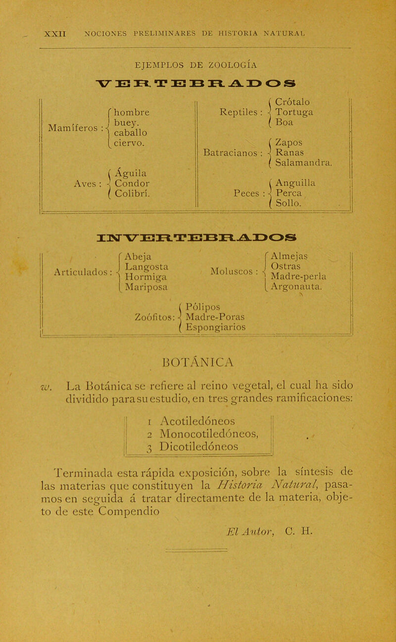 EJEMPLOS DE ZOOLOGÍA VERTEBRADOS í Crótalo f hombre Reptiles : j Tortuga Mamíferos :•! ^ílo ( Boa ciervo. í Zapos Batracianos : j Ranas í Águila Aves : \ Condor ( Salamandra. l Anguilla { Colibrí. Peces : •] Perca ( Sollo. IMVEHTEBHADOS ' Abeja ' Almejas x . , , Langosta Articulados q Hor«iga , Ostras Moluscos : < ,«• , , j Madre-perla [ Argonauta. 'N ( Mariposa í Pólipos Zoófitos: -< Madre-Poras i ( Espongiarios BOTÁNICA w. La Botánica se refiere al reino vegetal, el cual ha sido dividido parasuestudio, en tres grandes ramificaciones: 1 Acotiledóneos 2 Monocotiledóneos, ! j| 3 Dicotiledóneos | Terminada esta rápida exposición, sobre la síntesis de las materias que constituyen la Historia Natural, pasa- mos en seguida á tratar directamente de la materia, obje- to de este Compendio El Autor, C. H.