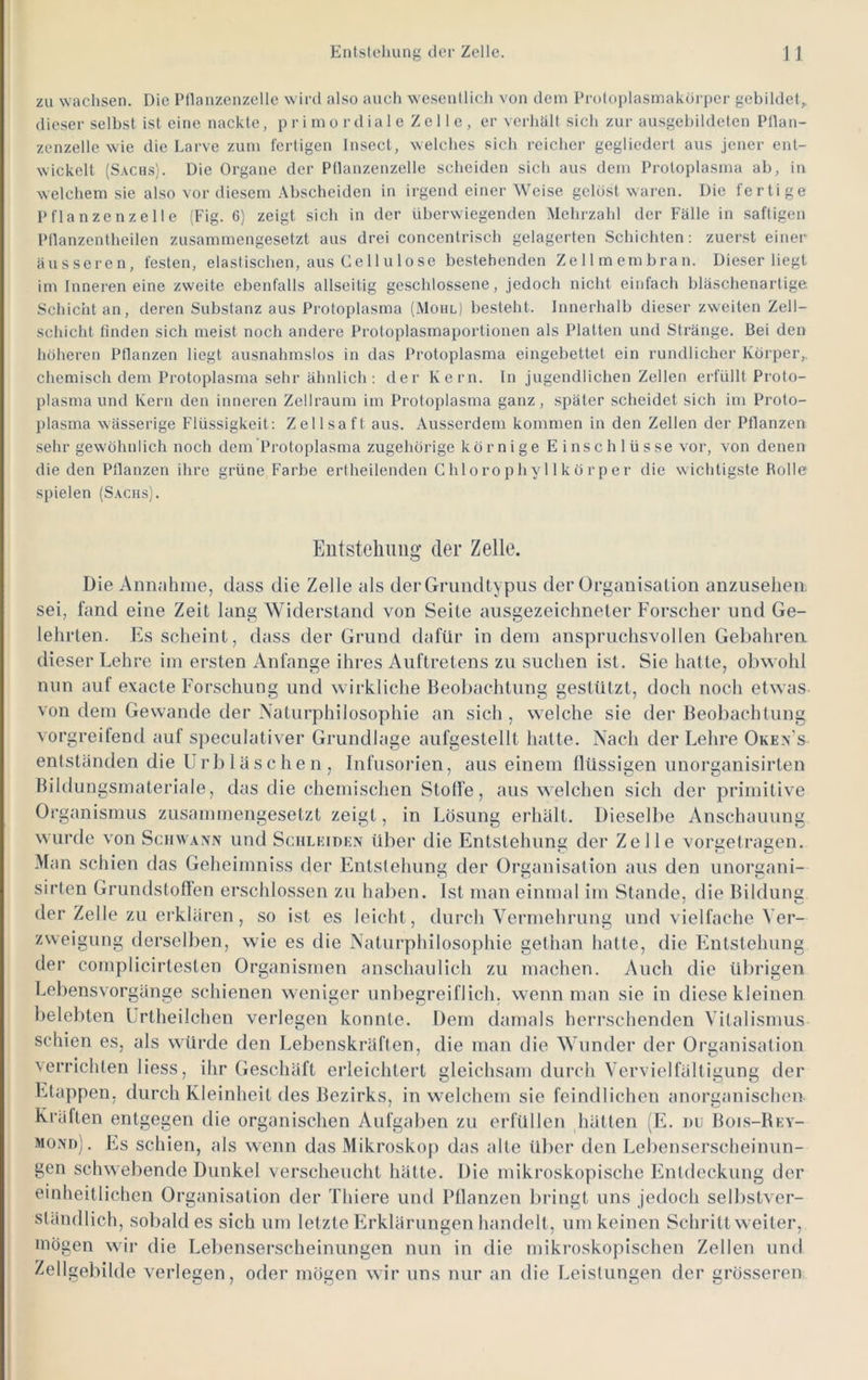 zu wachsen. Die Pllanzenzelle wirtl also auch wesentlich von dem Protoplasmakorper gebildet^ dieser selbst ist eine nackte, p r i m o r d ia 1 e Z e 11 e , er verhalt sich zur ausgebildeten Pllan- zenzelle wie die Larve zum fertigen Inscct, welches sich reicher gegliedert aus jener ent- wickelt (Sachs). Die Organe der Ptlanzenzelle scheiden sich aus dem Protoplasma ab, in welchem sie also vor diesem Abscheiden in irgend einer Weise gelöst waren. Die fertige Pflanzenzelte (Fig. 6) zeigt sich in der überwiegenden Mehrzahl der Fälle in saftigen Pllanzentheilen zusammengesetzt aus drei concentrisch gelagerten Schichten: zuerst einer äusseren, festen, elastischen, aus Cell ulose bestehenden Zellmembran. Dieser liegt im Inneren eine zweite ebenfalls allseitig geschlossene, jedoch nicht einfach bläschenartige Schicht an, deren Substanz aus Protoplasma (Moul) besieht. Innerhalb dieser zweiten Zell- schicht finden sich meist noch andere Protoplasmaportionen als Platten und Stränge. Bei den höheren Pflanzen liegt ausnahmslos in das Protoplasma eingebettet ein rundlicher Körper,, chemisch dem Protoplasma sehr ähnlich : der Kern, ln jugendlichen Zellen erfüllt Proto- plasma und Kern den inneren Zellraum im Protoplasma ganz, später scheidet sich im Proto- plasma wässerige Flüssigkeit: Zellsaft aus. Ausserdem kommen in den Zellen der Pfianzen sehr gew'öhnlich noch dem Protoplasma zugehörige körnige E inschlüsse vor, von denen die den Pflanzen ihre grüne Farbe ertheilenden C hl oroph y 11 k ö r p e r die wichtigste Rolle spielen (Sachs). Entstellung’ der Zelle. Die Annnhiiie, dass die Zelle als derGrundtypus derürganisalion anziiselieii sei, fand eine Zeit lang Widerstand von Seite ausgezeichneter Forscher und Ge- lehrten. Es scheint, dass der Grund dafür in dem anspruchsvollen Gebahren dieser Lehre im ersten Anfänge ihres Auftretens zu suchen ist. Sie hatte, obwohl nun auf exacte Forschung und wirkliche Beobachtung gestützt, doch noch etwas von dem Gewände der Naturphilosophie an sich , welche sie der Beobachtung vorgreifend auf speculativer Grundlage aufgestellt halte. Nach der Lehre Okex’s entständen die lirbläschen, Infusorien, aus einem tlüsslgen unorganisirlen Biklungsmateriale, das die chemischen Stolle, aus welchen sich der primitive Organismus zusammengesetzt zeigt, in Lösung erhält. Dieselbe Anschauung wurde von Scjiwann und Sciilkiden über die Entstehung der Zelle vorgetragen. Man schien das Geheimniss der Entstehung der Organisation aus den unorgani- sirten Grumlstoßen erschlossen zu haben. Ist man einmal im Stande, die Bildung der Zelle zu erklären , so ist es leicht, durch Vermehrung und vielfache Ver- zweigung derselben, wie es die Naturphilosophie gethan halte, die Fintstehung der complicirteslen Organismen anschaulich zu machen. Auch die übrigen Lebensvorgänge schienen weniger unbegreiflich, wenn man sie in diese kleinen belebten Lrtheilchen verlegen konnte. Dem damals herrschenden Vilalismus schien es, als würde den Lebenskräften, die man die Wunder der Organisation verrichten liess, ihr Geschäft erleichtert gleichsam durch Vervielfältigung der Etappen, durch Kleinheit des Bezirks, in welchem sie feindlichen anorganischen Kräften entgegen die organischen Aufgaben zu erfüllen hätten (E. du Bois-Bey- MüNn). Es schien, als wenn das Mikroskop das alte über den Lebenserscheinun- gen schwebende Dunkel verscheucht hätte. Die mikroskopische F^ntdeckung der einheitlichen Organisation der Thiere und Pflanzen bringt uns jedoch selbstver- stämllich, sobald es sich um letzte Fu’klärungen handelt, um keinen Schritt weiter, mögen wir die Lebenserscheinungen nun in die mikroskopischen Zellen und Zellgebilde verlegen, oder mögen wir uns nur an die Leistungen der grösseren