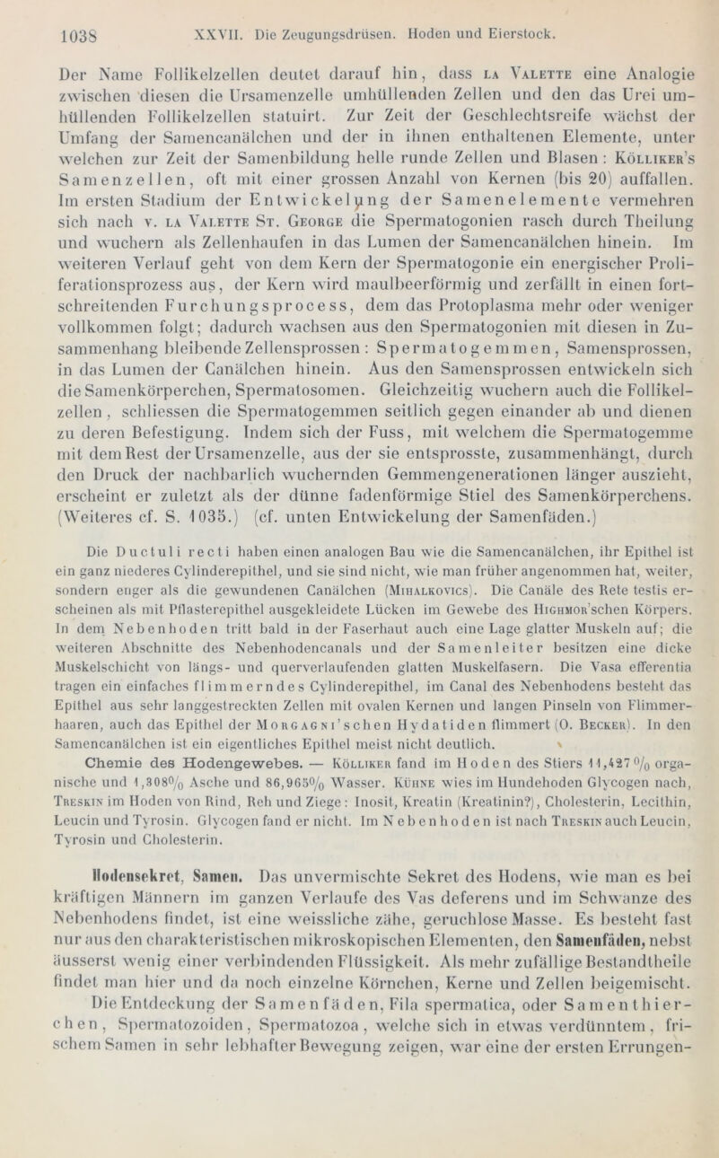 Der Name Follikelzellen deutet darauf hin, dass la Valette eine Analogie zwischen 'diesen die Ursamenzelle umhüllenden Zellen und den das Urei um- hüllenden Follikelzellen statuirt. Zur Zeit der Geschlechtsreife wächst der Umfang der Samencanälchen und der in ihnen enthaltenen Elemente, unter welchen zur Zeit der Samenbildung helle runde Zellen und Blasen : Kölliker’s Samenzellen, oft mit einer grossen Anzahl von Kernen (bis 20) auffallen. Im ersten Stadium der Entwickelung der Samenelemente vermehren sich nach v. la Valette St. George die Spermatogonien rasch durch Theilung und wuchern als Zellenhaufen in das Lumen der Samencanälchen hinein. Im weiteren Verlauf geht von dem Kern der Spermatogonie ein energischer Proli- ferationsprozess aus, der Kern wird maulbeerförmig und zerfällt in einen fort- schreitenden Furchungsprocess, dem das Protoplasma mehr oder weniger vollkommen folgt; dadurch wachsen aus den Spermatogonien mit diesen in Zu- sammenhang bleibende Zellensprossen : Sperm a lo g e m m en , Samensprossen, in das Lumen der Canälchen hinein. Aus den Samensprossen entwickeln sich die Samenkörperchen, Spermatosomen. Gleichzeitig wuchern auch die Follikel- zellen , schliessen die Spermatogemmen seitlich gegen einander ab und dienen zu deren Befestigung. Indem sich der Fuss, mit welchem die Spermatogemme mit dem Rest der Ursamenzelle, aus der sie entsprosste, zusammenhängt, durch den Druck der nachbarlich wuchernden Gemmengenerationen länger auszieht, erscheint er zuletzt als der dünne fadenförmige Stiel des Samenkörperchens. (Weiteres cf. S, 1035.) (cf. unten Entwickelung der Samenfäden.) Die Ductuli recti haben einen analogen Bau wie die Samencanälchen, ihr Epithel ist ein ganz niederes Cylinderepithel, und sie sind nicht, wie man früher angenommen hat, weiter, sondern enger als die gewundenen Canälchen (Mihalkovics). Die Canäle des Rete testis er- scheinen als mit Ptlasterepithel ausgekleidete Lücken im Gewebe des HiGHMOR’schen Körpers, ln dem Nebenhoden tritt bald in der Faserhaut auch eine Lage glatter Muskeln auf; die weiteren Abschnitte des Nebenhodencanals und der Samenleiter besitzen eine dicke Muskelschicht von längs- und querverlaufenden glatten Muskelfasern. Die Vasa efferentia tragen ein einfaches flimmerndes Cylinderepithel, im Canal des Nebenhodens besteht das Epithel aus sehr langgestreckten Zellen mit ovalen Kernen und langen Pinseln von Flimmer- haaren, auch das Epithel der Morgagni’sehen HydatIden flimmert (0. Becker). In den Samencanälchen ist ein eigentliches Epithel meist nicht deutlich. \ Chemie des Hodengewebes. — Kölliker fand im Hoden des Stiers 11,427 % orga- nische und l,.S080/o Asche und 86,965% Wasser. Kühne wies im Hundehoden Glycogen nach, Treskin im Hoden von Rind, Reh und Ziege: Inosit, Kreatin (Kreatinin?), Cholesterin, Lecithin, Leucin und Tyrosin. Glycogen fand er nicht. Im N e b en h o d e n ist nach Treskin auch Leucin, Tyrosin und Cholesterin. Iloclensekret, Samen. Das unvermischte Sekret des Hodens, wie man es bei kräftigen Männern im ganzen Verlaufe des Vas deferens und im Schwänze des Nebenhodens findet, ist eine weissliche zähe, geruchlose Masse. Es besteht fast nur aus den charakteristischen mikroskopischen Fdementen, den Sanieiifäileib nebst äusserst wenig einer verbindenden Flüssigkeit. Als mehr zufällige Beslandtheile findet man hier und da noch einzelne Körnchen, Kerne und Zellen beigemischt. Die Entdeckung der Samenfäden, Fila spermalica, oder Samenthier- chen, S])ermatozoiden , Spermatozoa , welche sich in etwas verdünntem, fri- schem Samen in sehr lebhafter Bewegung zeigen, wareine der ersten F>rrungen-