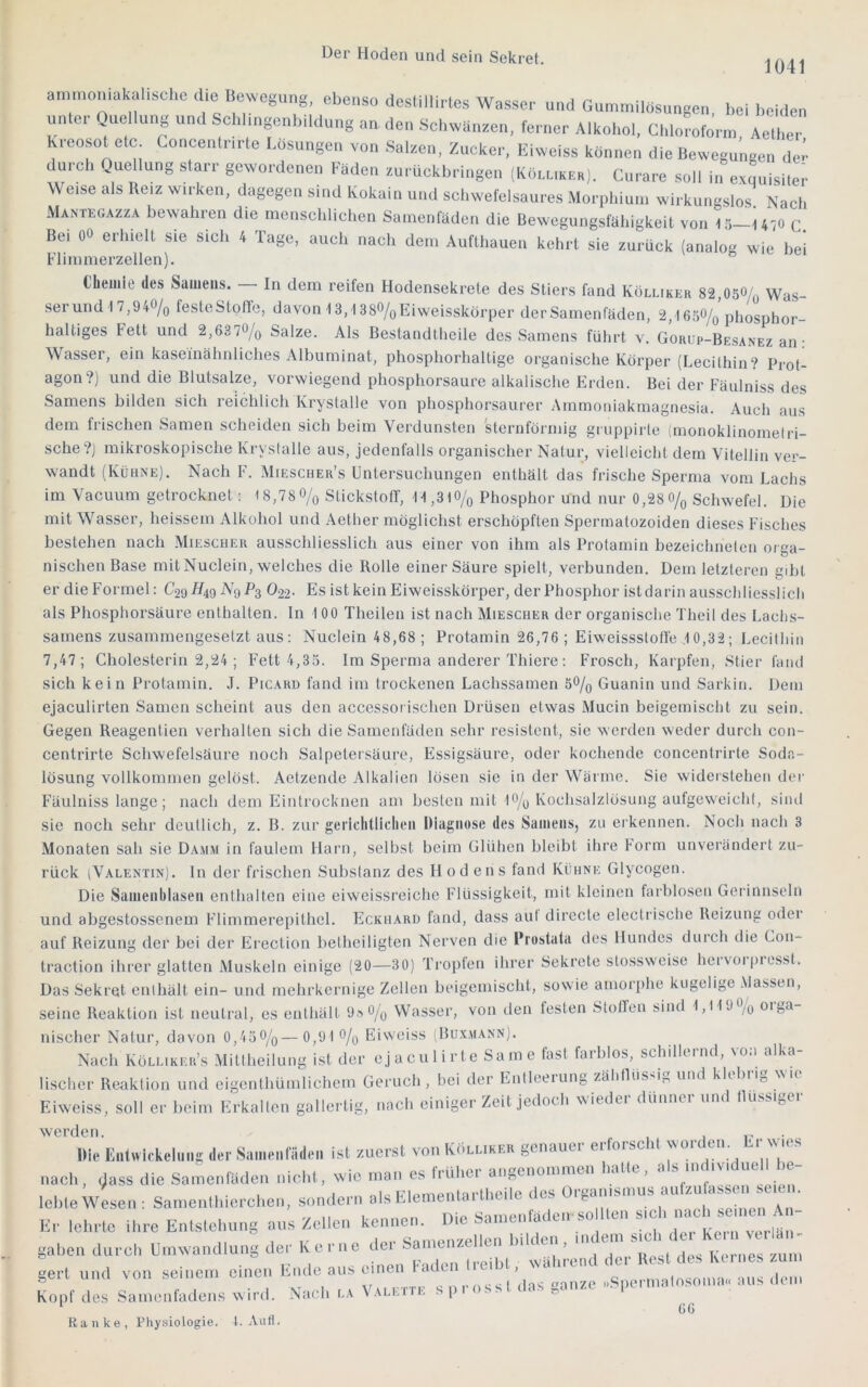 1041 ngen, hei beiden ammoniakahsche die Bewegung, ebenso destillirtes Wasser und Gumrnilösu unter Quellung und Scblingenbildung an den Schwänzen, ferner Alkohol, Chloroform Aether Kreosot etc Goncenlrirle Losungen von Salzen, Zucker, Eiweiss können die Bewegungen de.' dm-ch Quellung starr gewordenen Fäden zurückbringen (Köluker). Curare soll in exquisite;- Weise als Beiz wirken, dagegen sind Kokain und schwefelsaures Morphium wirkungslos Nach Mantegazza bewahren die menschlichen Samenfäden die Bewegungsfähigkeit von tö-U^o c. Bei 00 erhielt sie sich 4 Tage, auch nach dem Auftliauen kehrt sie zurück [analog wie bei Flinmierzellen). Clieiiiie des Samens. In dem reifen Hodensekrete des Stiers fand Köluker 82,050A Was- serund I 7,940/q festeStolle, davon 13,1 380/q Eiweisskörper der Samenfäden, 2,I650/q phosphor- haltiges Fett und 2,6370/q Salze. Als Bestandtheile des Samens führt v. Gorup-Besanez an • Wasser, ein kaseinälmliches Alhuminat, phosphorhaltige organische Körper (Lecithin? Prot- agon?) und die Blutsalze, vorwiegend phosphorsaure alkalische Erden. Bei der Fäulniss des Samens bilden sich reichlich Krystalle von phosphorsaurer Ammoniakraagnesia. Auch au.s dem frischen Samen scheiden sich beim Verdunsten sternförmig gruppirle (monoklinomelri- sche?) mikroskopische Krystalle aus, jedenfalls organischer Natur, vielleicht dem Vitellin ver- wandt (Kühne). Nach F. Miescher’s Untersuchungen enthält das frische Sperma vom Lachs im Vacuum getrocknet: 18,78 0/q Stickstolf, t-l,3lo/o Phosphor und nur 0,28o/q Schwefel. Die mit Wasser, heissem Alkohol und Aether möglichst erschöpften Spermatozoiden dieses Fisches bestehen nach AIieschek ausschliesslich aus einer von ihm als Protamin hezeichnetcn orga- nischen Base mitNuclein, welches die Rolle einer Säure spielt, verbunden. Dem letzteren gibt er die Formel: C29^49 0-22- Es ist kein Eiweisskörper, der Phosphor ist darin ausschliesslicli als Phosphorsäure enthalten, ln 100 Theilen ist nach Miescher der organische Theil des Lachs- samens zusammengesetzt aus: Nuclein 48,68 ; Protamin 26,76 ; Eiweissstotl'e .10,32; Lecitliin 7,47; Cholesterin 2,24 ; Fett 4,35. Im Sperma anderer Thiere: Frosch, Karpfen, Stier fand sich kein Protamin. J. Picard fand im trockenen Lachssamen 50/q Guanin und Sarkin. Dem ejaculirten Samen scheint aus den accessorischen Drüsen etwas Mucin beigemischt zu sein. Gegen Reagentien verhalten sich die Samenfäden sehr resistent, sie werden weder durch con- centrirte Schwefelsäure noch Salpeteisäure, Essigsäure, oder kochende concentrirte Soda- lösung vollkommen gelöst. Aetzende Alkalien lösen sie in der Wärme. Sie widerstehen dei- Fäulniss lange; nach dem Eintrocknen am besten mit lO/y Kochsalzlösung aufgeweicht, sind sie noch sehr deutlich, z. B. zur geiichtlicheii Diagnose des Samens, zu erkennen. Noch nach 3 Monaten sah sie Damm in faulem Harn, selbst heim Glühen bleibt ihre Form unverändert zu- rück (Valentin). In der frischen Substanz des Hodens fand Kühne Glycogen. Die Samen blasen enthalten eine eiweissreiche Flüssigkeit, mit kleinen farblosen Gerinnseln und ahgestossenem Flimmerepithel. Eckhard fand, dass aut directe electrische Reizung oder auf Reizung der bei der Erection hetheiligten Nerven die Prostata des Hundes durch die Con- traction ihrer glatten xVluskeln einige (20—30) Tropten ihrer Sekrete stossweise hervoi pi esst. Das Sekret enthält ein- und mehrkernige Zellen heigemischt, sowie amorphe kegelige .Massen, seine Reaktion ist neutral, es enthäU 9s o/q Wasser, von den festen StolTen sind 1,11 jo^q oiga nischer Natur, davon 0,450/q—0,91 o/q Eiweiss iBoxmann). Nach Külukeu’s Mittheilung ist der ejaculirte Same fast farblos, schdiernd, vo;i alka- lischer Reaktion und eigenthümlichem Geruch, hei der Entlceiung zähtliiS'i,., und khhiin wie Eiweiss, soll er heim Erkalten gallertig, nach einiger Zeit jedoch wiedei dünnei und tUissigei werden. i i’ • Die EiitMickeluiig der Sameiiladeii ist zuerst von KÖllikeu genauer erforscht Nvorden. < r xmc.s nach, (^ass die Samenfäden nicht, wie man es früher angenommen hatte, a s iiu ivic ue ic lebte Wesen: Samenthierchen, sondern als Elemenlartheile des ^ Er lehrte ihre Entstehung aus Zellen kennen. Die Samenfaden-so en sic i n< ^ gaben durch Umwandlung der Kerne der Samenzellen bilden, indem ' gert und von seinem einen Ende aus einen Faden treibt, ® ^ n cI das »anze «.Siiermatosonia« aus uciit Kopf des Samenfadens wird. Nach la \aleit -. . [ • • s ‘ 66