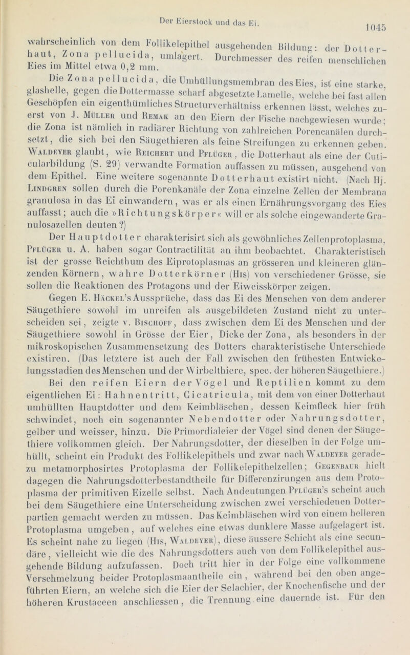 1045 vvi.i.rscl,einlich von dem Follikelcpilhel ausgehenden Hildun«- der iJoller haul, Zona pcllucida, nmlagerl. Durchmesser des reifen menscliliclien Lies im Mittel etwa 0,2 mm. Die Zona p e 11 u c i d a , die UmliUllimgsmembran des Eies, ist eine starke, glaslielle, gegen die Dottermassc scharf aligesetzte Lamelle, welche bei last allen (leschöplen ein eigenthümliches Structurverhaltniss erkennen lässt, welches zu- erst von .1. Mülleu und Remak an den Eiern der Fische nachgewiesen wurde; die Zona ist narnbch in radiärer Richtung von zahlreichen Porencanälen durch- setzt, die sich bei den Säugethieren als feine Streifungen zu erkennen geben, Waldeyer glaubt, wie Reichert und Pflüger, die Dotterhaut als eine der Cuti- cularbildung (S. 29) verwandte Formation auffassen zu müssen, ausgehend von dem Epithel. Eine weitere sogenannte Do Iler haut exislirt nicht. (Nach Ilj. Lindgren sollen durch die Porenkanäle der Zona einzelne Zellen der Membrana granulosa in das Ei einwandern, was er als einen Ernährungsvorgang des Eies aulfasst; auch die »R i ch t u n g s kö r p e r« will er als solche eingewanderte Gi'a- nulosazellen deuten?) Der Hauptdotter charaklerisirt sich als gewöhnliches Zellenprotoplasma, Pflüger u. A. haben sogar Contractilität an ihm beobachtet. Charakteristisch ist der grosse Reichthum des Eiproloplasmas an grösseren und kleineren glän- zenden Körnern, wahre Dolterkörner (llis) von verschiedener Grösse, sie sollen die Reaktionen des Protagons und der Eiweisskörper zeigen. Gegen E. H.äckel’s Aussprüche, dass das Ei des Menschen von dem anderer Säugethiere sowohl im unreifen als ausgebildeten Zustand nicht zu unter- scheiden sei, zeigte v. Bischöfe, dass zwischen dem Ei des Menschen und der Säugethiere sowohl in Grösse der Eier, Dicke der Zona, als besonders in der mikroskopischen Zusammensetzung des Dotters charakteristische Unterschiede exisliren. (Das letztere ist auch der Fall zwischen den frühesten Enlwicke- bingsstadien des Menschen und der Wirbellhiere, spec. der höheren Säugethiere.) Bei den reifen Eiern der Vögel und Reptilien kommt zu dem eigentlichen Ei: Hahnentritt, G i c a t r i c u 1 a , mit dem von einer Dotierhaut umhüllten Haupldotter und dem Keimbläschen, dessen Keiinfleck hier Iridi schwindet, noch ein sogenannter Neben dotier oder N a h r un g s d o 11 e r, gelber und weisser, hinzu. Die Primordialeier der Vögel sind denen der Säuge- thiere vollkommen gleich. Der Nahrungsdotter, der dieselben in der folge um- hüllt, scheint ein Produkt des Follikelepithels und zwar nach aldeyer gerade- zu metamorphosirles Protoplasma der Follikelepithelzellen; Gegeybaur hielt dagegen die Nahrungsdoltcrbestandtheile für Dillerenzirungen aus dem Proto- jilasma der primitiven Eizelle selbst. Nach Andeutungen Pflügers scheint auch bei dem Säugethiere eine Unterscheidung zwischen zwei verschiedenen Dollei- partien gemacht werden zu müssen. Das Keimbläschen wird von einem hellei en Protoplasma umgeben, auf welches eine etwas dunklere Masse «mlgelageil ist. Es scheint nahe zu liegen (His, Waldeyer), diese äussere Schicht als eine secun- däre, vielleicht wie die des Nahrungsdollers auch von dem Follikelepithel aus- gehende Bildung aufzufassen. Doch tritt hier in der Folge eine vollkommene Verschmelzung beider Protoplasmaantheile ein , während bei den oben ange führten Eiern, an welche sich die Eier der Selachier, der Knochenfische und der höheren Krustaceen anschliessen , die Irennung. eine dauernde ist. üi en