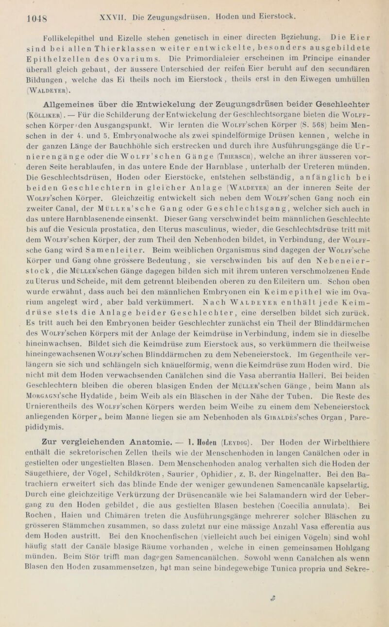 FoIIikeIei)ifIieI und Eizelle stehen genetisch in einer directen Beziehung. Die Eier sind hei allen Thierklassen weiter entwickelte, besonders ausgebildete E pi theize 1 Ic n des Ovariunis. Die Primordialeier erscheinen im Principe einander überall gleich gebaut, der äussere Unterschied der reifen Eier beruht auf den secundären Bildungen , welche das Ei theils noch im Eierstock , theils erst in den Eiwegen umhüllen (Walde YEu). Allgemeines über die Entwickelung der Zeugungsdrüsen beider Geschlechter (Kölliker). — Für die Schilderung derEntwickelung der Geschlechtsorgane bieten die Wolff- schen Körper'den Ausgangspunkt. Wir lernten die WoLFF’schen Körper (S. 568) beim Men- schen in der 4. und 5. Embryonalwoche als zwei spindelförmige Drüsen kennen, welche in der ganzen Länge der Bauchhöhle sich erstrecken und durch ihre Ausführungsgänge die U r- n i e r e n g ä n g e oder die W 0 L ff’s c h e n Gänge (Thiehsch), welche an ihrer äusseren vor- deren Seite herablaufen, in das untere Ende der Harnblase , unterhalb der Ureteren münden. Die Geschlechtsdrüsen, Hoden oder Eierstöcke, entstehen selbständig, anfänglich bei beiden Geschlechtern in gleicher Anlage (Waldeyer) an der inneren Seite der WoLFF’sclien Körper. Gleichzeitig entwickelt sich neben dem WoLFF’schen Gang noch ein zweiter Canal, der MüLLER’sche Gang oder G es ch 1 e ch tsga n g, welcher sich auch in das untere Harnblasenende einsenkt. Dieser Gang verschwindet beim männlichen Geschlechte bis auf die Vesicula prostatica, den Uterus masculinus, w ieder, die Geschlechtsdrüse tritt mit dem WoLFF’schen Körper, der zum Theil den Nebenhoden bildet, in Verbindung, der Wolff- sche Gang wird Samenleiter. Beim weiblichen Organismus sind dagegen der Wolff’scIic Körper und Gang ohne grössere Bedeutung , sie verschwinden bis auf den Nebeneier- slock , die MüLLER’schen Gänge dagegen bilden sich mit ihrem unteren verschmolzenen Ende zu Uterus undScheide, mit dem getrennt bleibenden oberen zu den Eileitern um. Schon oben wurde erwähnt, dass auch bei den männlichen Embryonen ein Keimepithel wie im Ova- rium angelegt wird, aber bald verkümmert. Nach Waldeyer enthält jede Keim- drüse stets die Anlage beider Geschlechter, eine derselben bildet sich zurück. Es tritt auch bei den Embryonen beider Geschlechter zunächst ein Theil der Blinddärmchen des WoLFF’schen Körpers mit der Anlage der Keimdrüse in Verbindung, indem sie in diesell)e hineinwachsen. Bildet sich die Keimdrüse zum Eierstock aus, so verkümmern die Iheilweise hineingewachsenen WoLFF’schen Blinddärmchen zu dem Nebeneierstock. Im Gegeniheile ver- längern sie sich und schlängeln sich knäuelförmig, wenn die Keimdrüse zum Hoden w ird. Die nicht mit dem Hoden verwachsenden Canälchen sind die Vasa aberi'anlia Halleri. Bei beiden Geschlechtern bleiben die oberen blasigen Enden der MüLLER’schen Gänge, beim Mann als ■MoRGAGXi’sche Hydalide, beim Weib als ein Bläschen in der Nähe der Tuben. Die Reste des Urnierentheils des WoLFF’schen Körpers werden beim Weibe zu einem dem Nebeneierstock anliegenden Körper,, beim Manne liegen sie am Nebenhoden als GiRALDEs’sches Organ, Parc- pididymis. Zur vergleichenden Anatomie.— 1. Hoden (Leydig). Der Hoden der Wirbelthiere enthält die sekretorischen Zellen theils wie der Menschenhoden in langen Canälchen oder in gestielten oder ungestielten Blasen. Dem Menschenhoden analog verhalten sich die Hoden der Säugethiere, der Vögel, Schildkröten , Saurier, Ophidicr, z. B. der Ringelnatter. Bei den Ba- Irachiern erweitert sich das blinde Ende, der weniger gewundenen Samencanäle kapselartig. Durch eine gleichzeitige Verkürzung der Drüsencanälc w ie bei Salamandern wird der Ueber- gang zu den Hoden gebildet, die aus gestiellen Blasen bestehen (Coecilia annulata). Bei Rochen , Haien und Chimären treten die Ausführungsgänge mehrerer solcher Bläschen zu grösseren Stämmchen zirsammen, so dass zuletzt nur eine mässige Anzahl Vasa ell'erenlia aus dem Hoden austi itt. Bei den Knochenfischen (vielleicht auch bei einigen Vögeln) sind wohl häufig statt der Canäle blasige Räume vorhanden , welche in einen gemeinsamen Hohlgang münden. Beim Stör trifft man dagegen Samencanälchen. Sowohl w'enn Canälchen als wenn Blasen den Hoden zusammenselzen, hat man seine bindegewebige Tunica propria und Sekre-