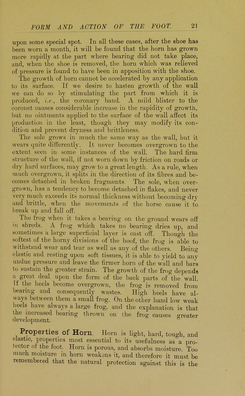 upon some special spot. In all these cases, after the shoe has been worn a month, it will be found that the horn has grown more rapidly at the part where bearing did not take place, and, when the shoe is removed, the horn which was relieved of pressure is found to have been in apposition with the shoe. The growth of horn cannot be accelerated by any application to its surface. If we desire to hasten growth of the wall we can do so by stimulating the part from which it is produced, i.e., the coronary band. A mild blister to the coronet causes considerable increase in the rapidity of growth, but no ointments applied to the surface of the wall affect its production in the least, though they may modify its con- dition and prevent dryness and brittleness. The sole grows in much the same way as the wall, but it wears quite differently. It never becomes overgrown to the extent seen in some instances of the wall. The hard firm structure of the wall, if not worn down by friction on roads or dry hard surfaces, may grow to a great length. As a rule, when much overgrown, it splits in the direction of its fibres and be- comes detached in broken fragments. The sole, when over- grown, has a tendency to become detached in flakes, and never very much exceeds its normal thickness without becoming dry and brittle, when the movements of the horse cause it to break up and fall off. The frog when it takes a bearing on the ground wears off in shreds. A frog which takes no bearing dries up, and sometimes a large superficial layer is cast off. Though the softest of the horny divisions of the hoof, the frog is able to withstand wear and tear as well as any of the others. Being- elastic and resting upon soft tissues, it is able to yield to any undue pressure and leave the firmer horn of the wall and bars to sustain the greater strain. The growth of the frog depends a great deal upon the form of the back parts of the wall. If the heels become overgrown, the frog is removed from bearing and consequently wastes. High heels have al- ways between them a small frog. On the other hand low weak heels have always a large frog, and the explanation is that the increased bearing thrown on the frog causes treater development. Properties of Horn. Horn is light, hard, tough, and elastic, properties most essential to its usefulness as a pro- tector of the foot. Horn is porous, and absorbs moisture. Too much moisture in horn weakens it, and therefore it must be lemembered that the natural protection against this is the