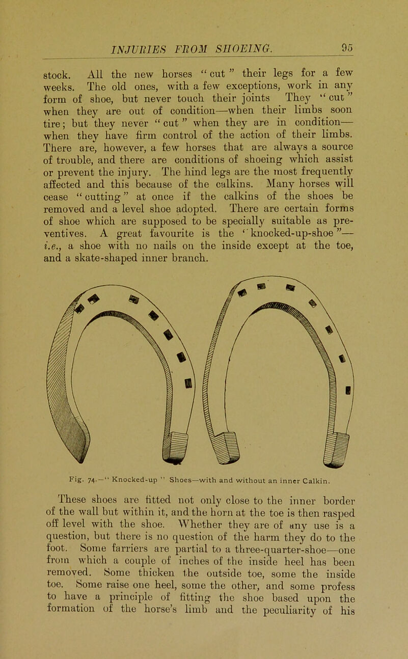 stock. All the new horses “ cut ” their legs for a few weeks. The old ones, with a few exceptions, work in any form of shoe, but never touch their joints They “ cut ” when they are out of condition—when their limbs soon tire; but they never “ cut ” when they are in condition— when they have firm control of the action of their limbs. There are, however, a few horses that are always a source of trouble, and there are conditions of shoeing which assist or prevent the injury. The hind legs are the most frequently affected and this because of the calkins. Many horses will cease “ cutting ” at once if the calkins of the shoes be removed and a level shoe adopted. There are certain forms of shoe which are supposed to be specially suitable as pre- ventives. A great favourite is the ‘ knocked-up-shoe ”— i.e., a shoe with no nails ou the inside except at the toe, and a skate-shaped inner branch. Fig. 74. — “ Knocked-up ” Shoes—with and without an inner Calkin. These shoes are fitted not only close to the inner border of the wall but within it, and the horn at the toe is then rasped off level with the shoe. Whether they are of any use is a question, but there is no question of the harm they do to the foot. Some farriers are partial to a three-quarter-shoe—one from which a couple of inches of the inside heel has been removed. Some thicken the outside toe, some the inside toe. Some raise one heel, some the other, and some profess to have a principle of fitting the shoe based upon the formation of the horse’s limb and the peculiai’ity of his