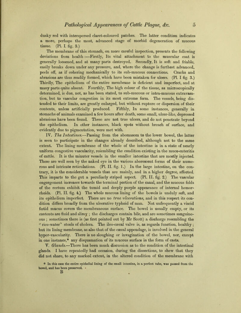 dusky red with interspersed claret-coloured patches. The latter condition indicates a more, perhaps the most, advanced stage of morbid degeneration of mucous tissue. (PI. I. fig. 3.) The membrane of this stomach, on more careful inspection, presents the following deviations from health :—Firstly, Its vital attachment to the muscular coat is generally loosened, and at many parts destroyed. Secondly, It is soft and friable, easily breaks down under any pressure, and, where the change is furthest advanced, peels off, as if cohering mechanically to its sub-mucous connections. Cracks and abrasions are thus readily formed, which have been mistaken for ulcers. (PI. I fig. 3.) Thirdly, The epithelium of the entire membrane is deficient and imperfect, and at many parts quite absent. Fourthly, The high colour of the tissue, as microscopically determined, is due, not, as has been stated, to sub-mucous or intra-mucous extravasa- tion, but to vascular congestion in its most extreme form. The vessels, being dis- tended to their limits, are greatly enlarged, but without rupture or dispersion of' their contents, unless artificially produced. Fifthly, In some instances, generally in stomachs of animals examined a few hours after death, some small, ulcer-like, depressed abrasions have been found. These are not true ulcers, and do not penetrate beyond the epithelium. In other instances, black spots without breach of surface, and evidently due to pigmentation, were met with. IV. The Intestines.—Passing from the abomasom to the lower bowel, the latter is seen to participate in the changes already described, although not to the same extent. The lining membrane of the whole of the intestine is in a state of nearly uniform congestive vascularity, resembling the condition existing in the muco-enteritis of cattle. It is the minuter vessels in the smaller intestine that are mostly injected. These are well seen by the naked eye in the various aborescent forms of their nume- rous and intricate reticulations. (PI. II. fig. 1.) In the large intestine, on the con- trary, it is the considerable vessels that are mainly, and in a higher degree, affected. This imparts to the gut a peculiarly striped aspect. (PI. II. fig. 2.) The vascular engorgement increases towards the terminal portion of the canal, and the mucous folds of the rectum exhibit the tumid and deeply purple appearance of internal hemor- rhoids. (PI. II. fig. 4.) The whole mucous lining of the bowels is unduly soft, and its epithelium imperfect. There are no true ulcerations, and in this respect its con- dition differs broadly from the ulcerative typhoid of man. Not unfrequently a viscid foetid mucus covers the membraneous surface. The bowel is usually empty, or its contents are fluid and slimy ; the discharges contain bile, and are sometimes sanguine- ous ; sometimes there is (as first pointed out by Mr Scott) a discharge resembling the “ rice-water” stools of cholera. The ileo-cascal valve is, as regards function, healthy ; but its lining membrane, as also that of the csecal appendage, is involved in the general hyper-vascularity. There is no sloughing or invagination of the bowel, nor, except in one instance,* any disquamation of its mucous surface in the form of casts. V. Glands.—There has been much discussion as to the condition of the intestinal glands. 1 have repeatedly had occasion, during the dissections, to shew that they did not share, to any marked extent, in the altered condition of the membrane with * In this case the entire epithelial lining of the small intestine, in a perfect tube, was passed from the bowel, and has been preserved. • B