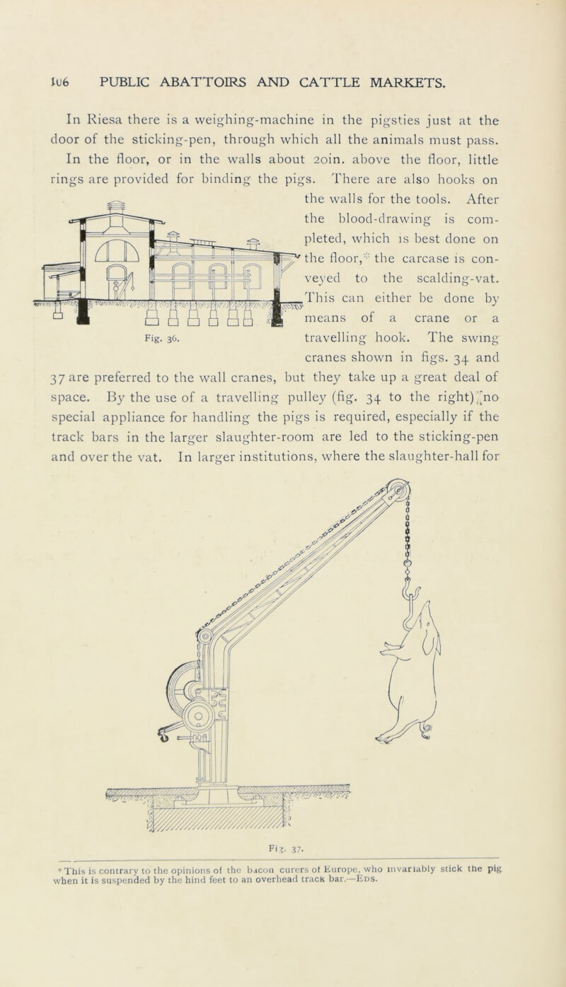 In Riesa there is a weighing-machine in the pigsties just at the door of the sticking-pen, through which all the animals must pass. In the floor, or in the walls about 2oin. above the floor, little rings are provided for binding the pigs. There are also hooks on the walls for the tools. After the blood-drawing is com- pleted, which is best done on the floor,' the carcase is con- veyed to the scalding-vat. This can either be done by means of a crane or a Fig. 36. travelling hook. The swing cranes shown in figs. 34 and 37 are preferred to the wall cranes, but they take up a great deal of space. By the use of a travelling pulley (fig. 34 to the right) 'no special appliance for handling the pigs is required, especially if the track bars in the larger slaughter-room are led to the sticking-pen and over the vat. In larger institutions, where the slaughter-hall for * This is contrary to the opinions of the bacon curers ot Europa, who mvariably stick the pig when it is suspended by the hind feet to an overhead track bar.—Eds.