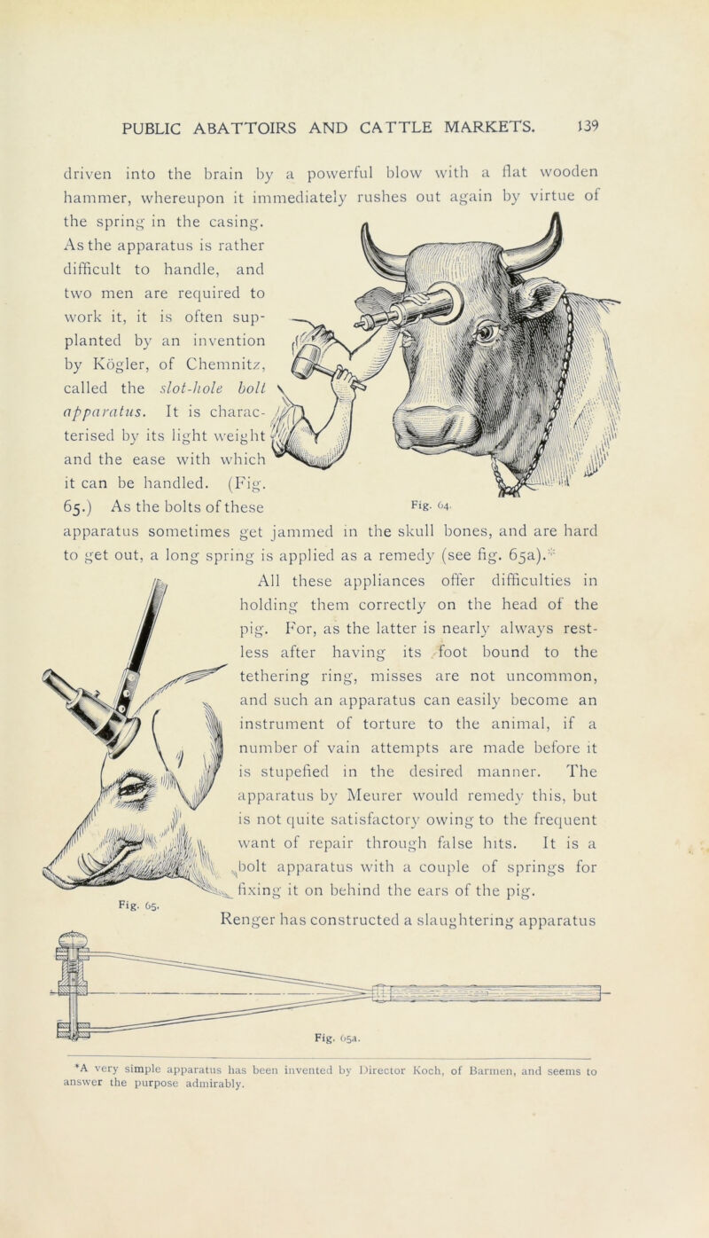 Fig. 64. clriven into the brain by a powerful blow with a llat wooden hammer, whereupon it immediately rushes out again by virtue of the spring in the casing. As the apparatus is rather difficult to handle, and tvvo men are required to work it, it is often sup- planted by an invention by Kögler, of Chemnitz, called the slot-hole holl apparatus. It is charac- /, terised by its light weight and the ease with which it can be handled. (Fig. 65.) As the bolts of these apparatus sometimes get jammed in the skull bones, and are hard to get out, a long spring is applied as a remedy (see fig. 65a). All these appliances offer difficulties in holding them correctly on the head of the pig. For, as the latter is nearly always rest- less after having its foot bound to the tethering ring, misses are not uncommon, and such an apparatus can easily become an instrument of torture to the animal, if a number of vain attempts are made before it is stupefied in the desired manner. The apparatus by Meurer would remedy this, but is not quite satisfactory owing to the frequent want of repair through false hits. It is a „holt apparatus with a couple of springs for ^fixing it on behind the ears of the pig. Renger has constructed a slaughtering apparatus v.. v *A very simple apparatns has been invented by Director Koch, of Barmen, and seems to answer the purpose admirably.