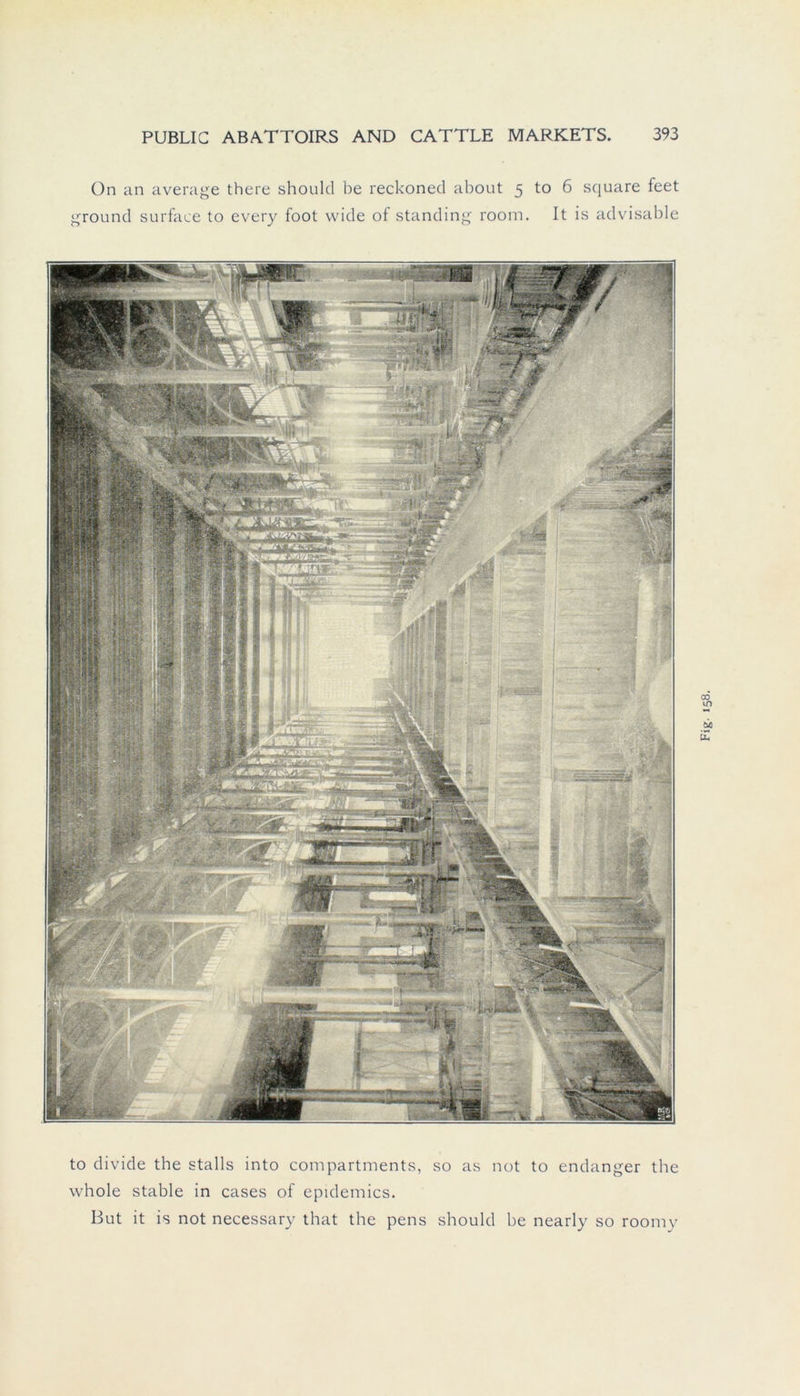 On an average there should be reckoned about 5 to 6 square feet ground surface to every foot wide of Standing room. It is advisable to divide the Stalls into compartments, so as not to endanger the whole stable in cases of epidemics. But it is not necessary that the pens should be nearly so roomy Fig. 158.