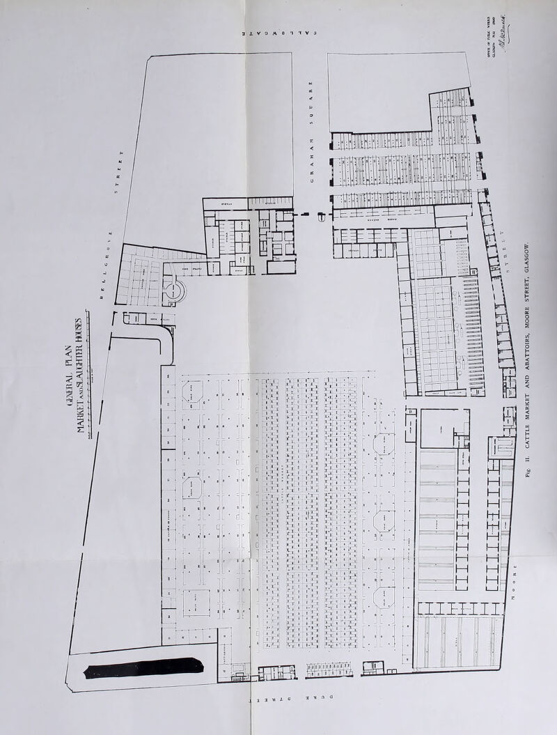 dMKAL PLAN MARKETandSLAPCHTCR. HOUSES CATTLE MARKET AND ABATTOIRS, MOORE STREET, GLASGOW.