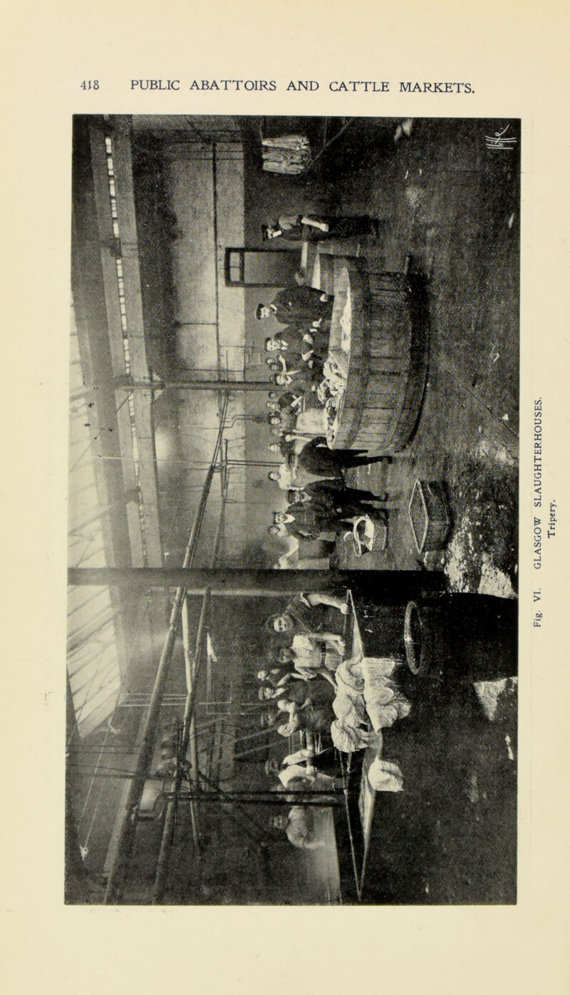Fig. VI. GLASGOW SLAUGHTERHOUSES. Tripery.