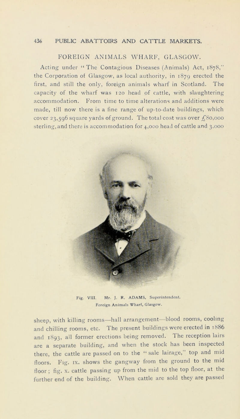 FOREIGN ANIMALS WHARF, GLASGOW. Acting under “The Contagious Diseases (Animais) Act, 1878,” the Corporation of Glasgow, as local authority, in 1879 erected the first, and still the only, foreign animals wharf in Scotland. The capacity of the wharf was 120 head of cattle, with slaughtering accommodation. From time to time alterations and additions were made, tili novv there is a fine ränge of up-to-date buildings, which cover 23,596 square yards of ground. The total cost was over £80,000 sterling, and there is accommodation for 4,000 head of cattle and 3,000 Fig. VIII. Mr. J. R. ADAMS, Superintendent. Foreign Animals Wharf, Glasgow. sheep, with killing rooms—hall arrangement—blood rooms, cooling and chilling rooms, etc. The present buildings were erected in 1886 and 1893, all former erections being removed. I he reception lairs are a separate building, and when the stock has been mspected there, the cattle are passed on to the “ sale lairage, top and mid floors. Fig. ix. shows the gangway from the ground to the mid floor ; fig. x. cattle passing up from the mid to the top floor, at the further end of the building. When cattle are sold they are passed