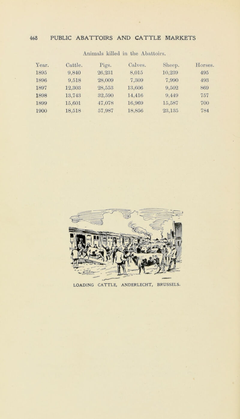 Animais killed in tlie Abattoivs. Year. Cattle. Pigs. Calves. Sheep. Horses. 1895 9,840 26,231 8,015 10,239 495 1896 9,518 28,009 7,309 7,990 493 1897 12,303 28,553 13,606 9,502 869 1898 13,743 32,590 14,416 9,449 757 1899 15,601 47,078 16,969 15,587 700 1900 18,518 57,987 18,856 23,135 784 LOADING CATTLE, ANDERLECHT, BRUSSELS.