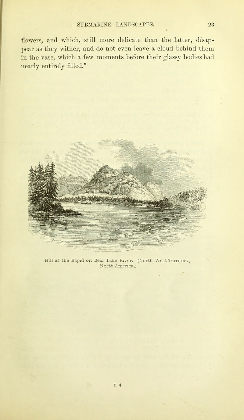 flowers, and which, still more delicate than the latter, disap- pear as they wither, and do not even leave a cloud behind them in the vase, which a few moments before their glassy bodies had nearly entirely filled.” Hill at the Rapid on Bear Lake River. (North West Territory, North America.)