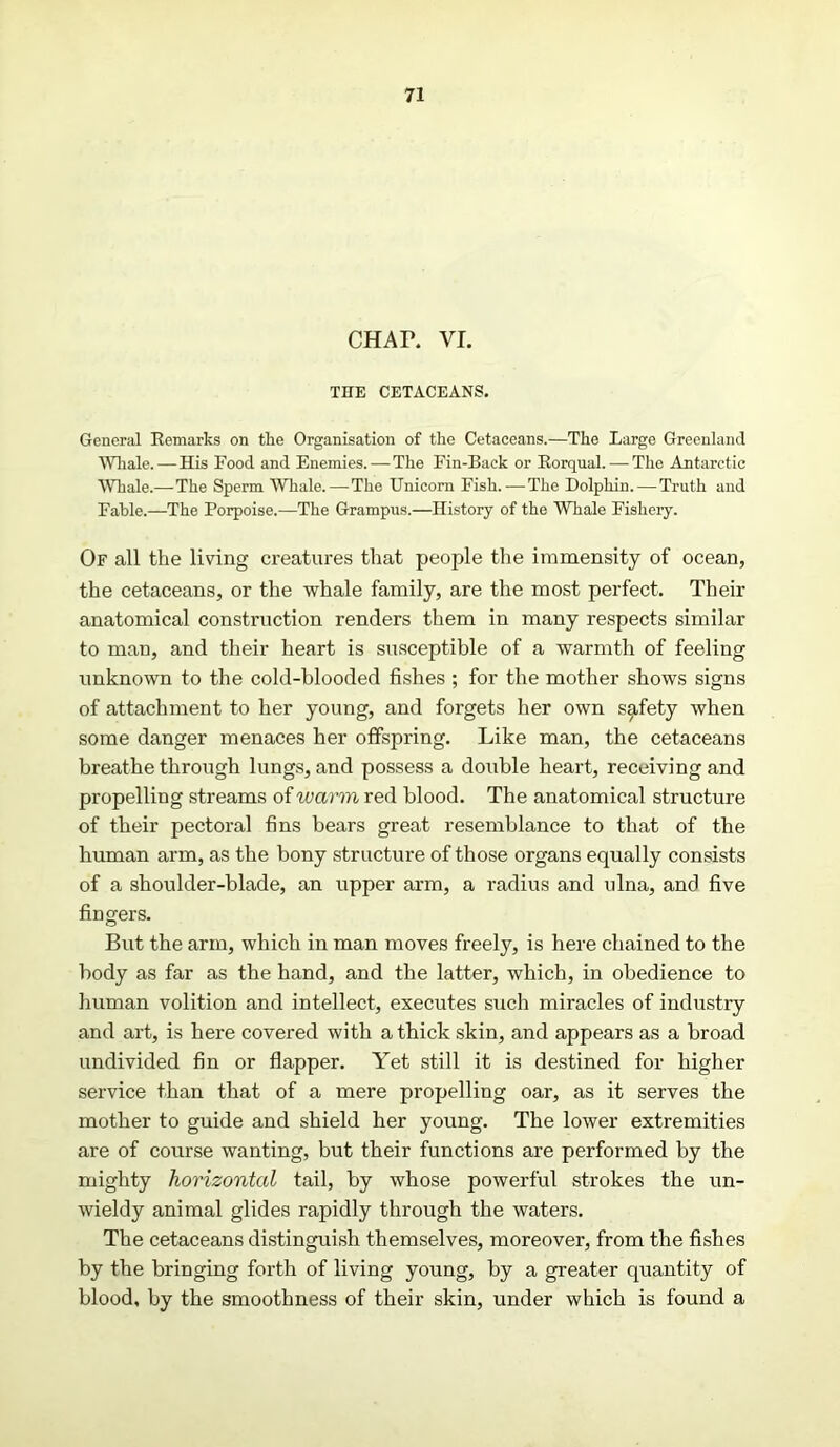 CHAR VI. THE CETACEANS. General Remarks on the Organisation of the Cetaceans.—The Large Greenland Whale.—His Food and Enemies.—The Fin-Back or Rorqual. — The Antarctic Whale.—The Sperm Whale.—The Unicorn Fish.—The Dolphin. — Truth and Fable.—The Porpoise.—The Grampus.—History of the Whale Fishery. Of all the living creatures that people the immensity of ocean, the cetaceans, or the whale family, are the most perfect. Their anatomical construction renders them in many respects similar to man, and their heart is susceptible of a warmth of feeling unknown to the cold-blooded fishes ; for the mother shows signs of attachment to her young, and forgets her own safety when some danger menaces her offspring. Like man, the cetaceans breathe through lungs, and possess a double heart, receiving and propelling streams of warm red blood. The anatomical structure of their pectoral fins bears great resemblance to that of the human arm, as the bony structure of those organs equally consists of a shoulder-blade, an upper arm, a radius and ulna, and five fingers. But the arm, which in man moves freely, is here chained to the body as far as the hand, and the latter, which, in obedience to human volition and intellect, executes such miracles of industry and art, is here covered with a thick skin, and appears as a broad undivided fin or flapper. Yet still it is destined for higher service than that of a mere propelling oar, as it serves the mother to guide and shield her young. The lower extremities are of course wanting, but their functions are performed by the mighty horizontal tail, by whose powerful strokes the un- wieldy animal glides rapidly through the waters. The cetaceans distinguish themselves, moreover, from the fishes by the bringing forth of living young, by a greater quantity of blood, by the smoothness of their skin, under which is found a