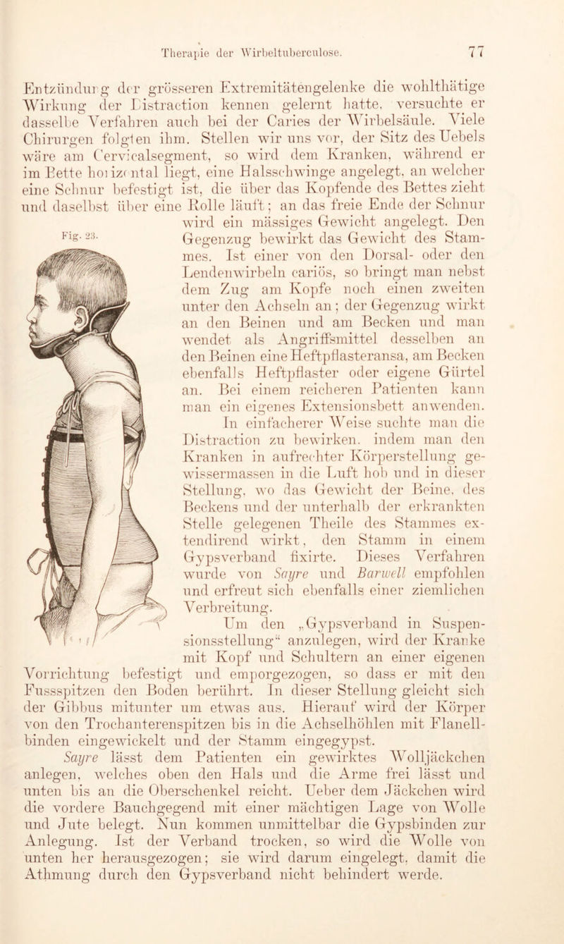 Fig- 23. Entzündurg der grösseren Extremitätengelenke die wohlthätige Wirkung der Listraction kennen gelernt hatte, versuchte, er dasselbe Verfahren auch bei der Caries der V irbelsäule. \ iele Chirurgen folgien ihm. Stellen wir uns vor, der Sitz des Uebels wäre am Cerviealsegment, so wird dem Kranken, während er im Bette hoiizental liegt, eine Halsschwinge angelegt, an welcher eine Schnur befestigt ist, die über das Kopfende des Bettes zieht und daselbst über eine Rolle läuft; an das freie Ende der Schnur wird ein mässiges Gewicht angelegt. Den Gegenzug bewirkt das Gewicht des Stam- mes. Ist einer von den Dorsal- oder den Lendenwirbeln cariös, so bringt man nebst dem Zug am Kopfe noch einen zweiten unter den Achseln an; der Gegenzug wirkt an den Beinen und am Becken und man wendet als Angriffsmittel desselben an den Beinen eine Heftpflasteransa, am Becken ebenfalls Heftpflaster oder eigene Gürtel an. Bei einem reicheren Patienten kann man ein eigenes Extensionsbett anwenden. In einfacherer Weise suchte man die Distraction zu bewirken, indem man den Kranken in aufrechter Körperstellung ge- wissermassen in die Luft hob und in dieser Stellung, wo das Gewicht der Beine, des Beckens und der unterhalb der erkrankten Stelle gelegenen Theile des Stammes ex- tendirend wirkt, den Stamm in einem Gypsverband fixirte. Dieses Verfahren wurde von Sayre und Barwell empfohlen und erfreut sich ebenfalls einer ziemlichen Verbreitung. Um den Gypsverband in Suspen- sionsstellung“ anzulegen, wird der Kranke mit Kopf und Schultern an einer eigenen Vorrichtung befestigt und emporgezogen, so dass er mit den Fussspitzen den Boden berührt. In dieser Stellung gleicht sich der Gibbus mitunter um etwas aus. Hierauf wird der Körper von den Trochanterenspitzen bis in die Achselhöhlen mit Flanell- binden eingewickelt und der Stamm eingegypst. Sayre lässt dem Patienten ein gewirktes Wolljäckchen anlegen, welches oben den Hals und die Arme frei lässt und unten bis an die Oberschenkel reicht. Ueber dem Jäckchen wird die vordere Bauchgegend mit einer mächtigen Lage von Wolle und Jute belegt. Nun kommen unmittelbar die Gypsbinden zur Anlegung. Ist der Verband trocken, so wird die Wolle von unten her herausgezogen; sie wird darum eingelegt, damit die Athmung durch den Gypsverband nicht behindert werde.