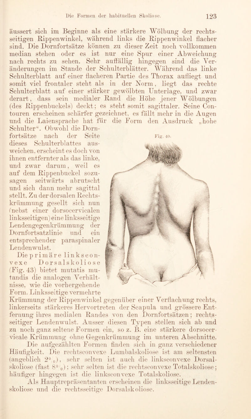 äussert sich im Beginne als eine stärkere Wölbung der rechts- seitigen Rippenwinkel, während links die Rippenwinkel flacher sind. Die Dornfortsätze können zu dieser Zeit noch vollkommen median stehen oder es ist nur eine Spur einer Abweichung nach rechts zu sehen. Sehr auffällig hingegen sind die Ver- änderungen im Stande der Schulterblätter. Während das linke Schulterblatt auf einer flacheren Partie des Thorax aufliegt und somit viel frontaler steht als in der Norm, liegt das rechte Schulterblatt auf einer stärker gewölbten Unterlage, und zwar derart , dass sein medialer Rand die Höhe jener Wölbungen (des Rippenbuckels) deckt; es steht somit sagittaler. Seine Con- touren erscheinen schärfer gezeichnet, es fällt mehr in die Augen und die Laiensprache hat für die Form den Ausdruck „hohe Schulter“. Obwohl die Dorn- fortsätze nach der Seite Fis. 40. dieses Schulterblattes aus- weichen. erscheint es doch von ihnen entfernter als das linke, und zwar darum, weil es auf dem Rippenbuckel sozu- sagen seitwärts abrutscht und sich dann mehr sagittal stellt. Zu der dorsalen Rechts- krümmung gesellt sich nun (nebst einer dorsocervica.len linksseitigen) eine linksseitige Lendengegenkrümmung der Dornfortsatzlinie und ein entsprechender paraspinaler Lenden wulst. Die primäre linkscon- vexe Dorsal skoliose (Fig. 43) bietet mutatis mu- t an dis die analogen Verhält- nisse, wie die vorhergehende Form. Linksseitige vermehrte Krümmung der Rippenwinkel gegenüber einer Verflachung rechts, linkerseits stärkeres Hervortreten der Scapula und grössere Ent- fernung ihres medialen Randes von den Dornfortsätzen; rechts- seitiger Lendenwulst. Ausser diesen Typen stellen sich ab und zu noch ganz seltene Formen ein, so z. B. eine stärkere dorsocer- vicale Krümmung ohne Gegenkrümmung im unteren Abschnitte. Die aufgezählten Formen finden sich in ganz verschiedener Häufigkeit. Die rechtsconvexe Lumbalskoliose ist am seltensten (angeblich 2°( 0), sehr selten ist auch die linksconvexe Dorsal- skoliose (fast 8° 0) 5 sehr selten ist die rechtsconvexe Totalskoliose; häufiger hingegen ist die linksconvexe Totalskoliose. Als Hauptrepräsentanten erscheinen die linksseitige Lenden- skoliose und die rechtsseitige Dorsalskoliose.