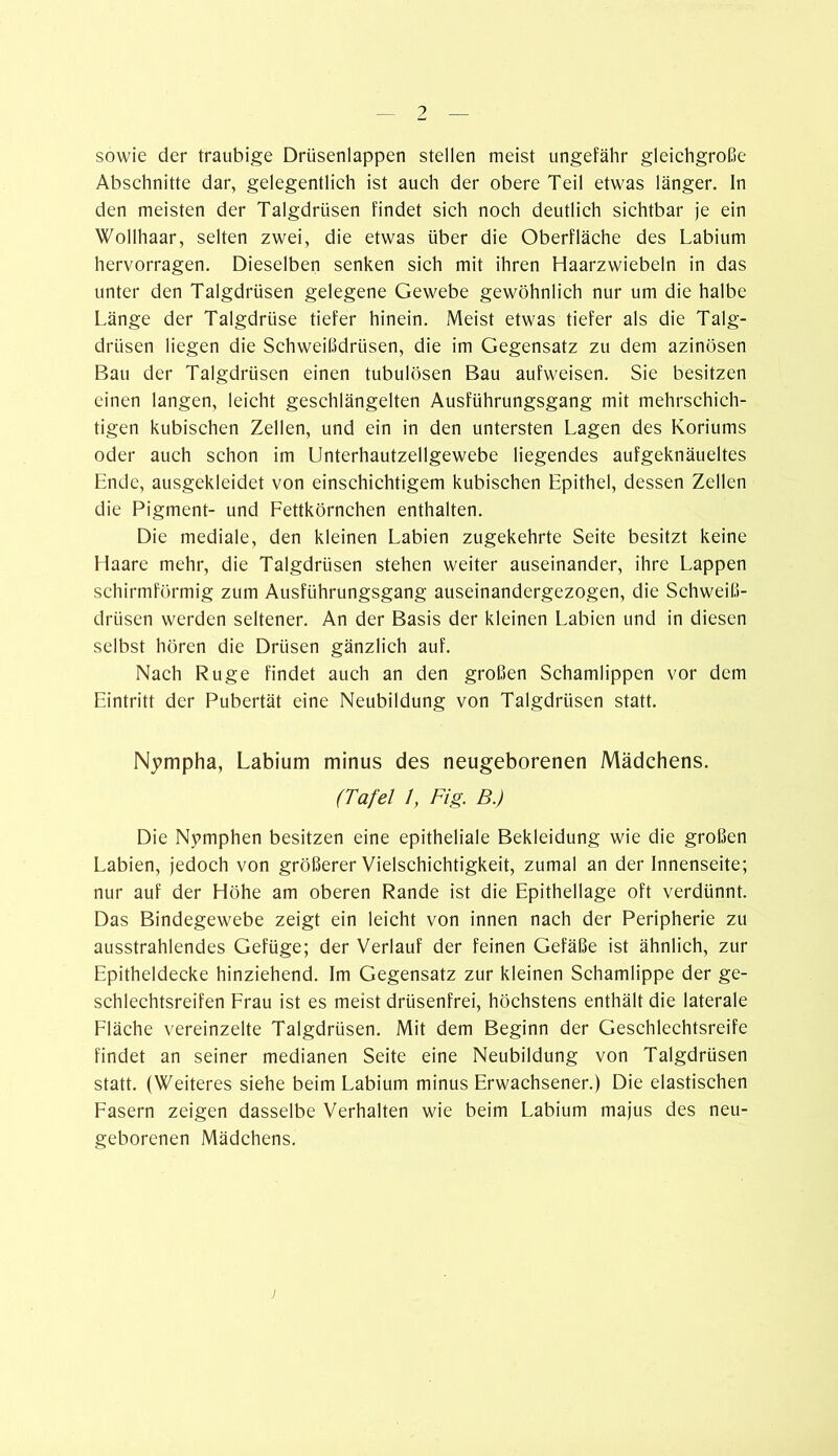 sowie der traubige Drüsenlappen stellen meist ungefähr gleichgroße Abschnitte dar, gelegentlich ist auch der obere Teil etwas länger. In den meisten der Talgdrüsen findet sich noch deutlich sichtbar je ein Wollhaar, selten zwei, die etwas über die Oberfläche des Labium hervorragen. Dieselben senken sich mit ihren Haarzwiebeln in das unter den Talgdrüsen gelegene Gewebe gewöhnlich nur um die halbe Länge der Talgdrüse tiefer hinein. Meist etwas tiefer als die Talg- drüsen liegen die Schweißdrüsen, die im Gegensatz zu dem azinösen Bau der Talgdrüsen einen tubulösen Bau aufweisen. Sie besitzen einen langen, leicht geschlängelten Ausführungsgang mit mehrschich- tigen kubischen Zellen, und ein in den untersten Lagen des Koriums oder auch schon im Unterhautzellgewebe liegendes aufgeknäueltes Ende, ausgekleidet von einschichtigem kubischen Epithel, dessen Zellen die Pigment- und Fettkörnchen enthalten. Die mediale, den kleinen Labien zugekehrte Seite besitzt keine Haare mehr, die Talgdrüsen stehen weiter auseinander, ihre Lappen schirmförmig zum Ausführungsgang auseinandergezogen, die Schweiß- drüsen werden seltener. An der Basis der kleinen Labien und in diesen selbst hören die Drüsen gänzlich auf. Nach Rüge findet auch an den großen Schamlippen vor dem Eintritt der Pubertät eine Neubildung von Talgdrüsen statt. Nympha, Labium minus des neugeborenen Mädchens. (Tafel 1, Fig. B.) Die Nymphen besitzen eine epitheliale Bekleidung wie die großen Labien, jedoch von größerer Vielschichtigkeit, zumal an der Innenseite; nur auf der Höhe am oberen Rande ist die Epithellage oft verdünnt. Das Bindegewebe zeigt ein leicht von innen nach der Peripherie zu ausstrahlendes Gefüge; der Verlauf der feinen Gefäße ist ähnlich, zur Epitheldecke hinziehend. Im Gegensatz zur kleinen Schamlippe der ge- schlechtsreifen Frau ist es meist drüsenfrei, höchstens enthält die laterale Fläche vereinzelte Talgdrüsen. Mit dem Beginn der Geschlechtsreife findet an seiner medianen Seite eine Neubildung von Talgdrüsen statt. (Weiteres siehe beim Labium minus Erwachsener.) Die elastischen Fasern zeigen dasselbe Verhalten wie beim Labium majus des neu- geborenen Mädchens. >