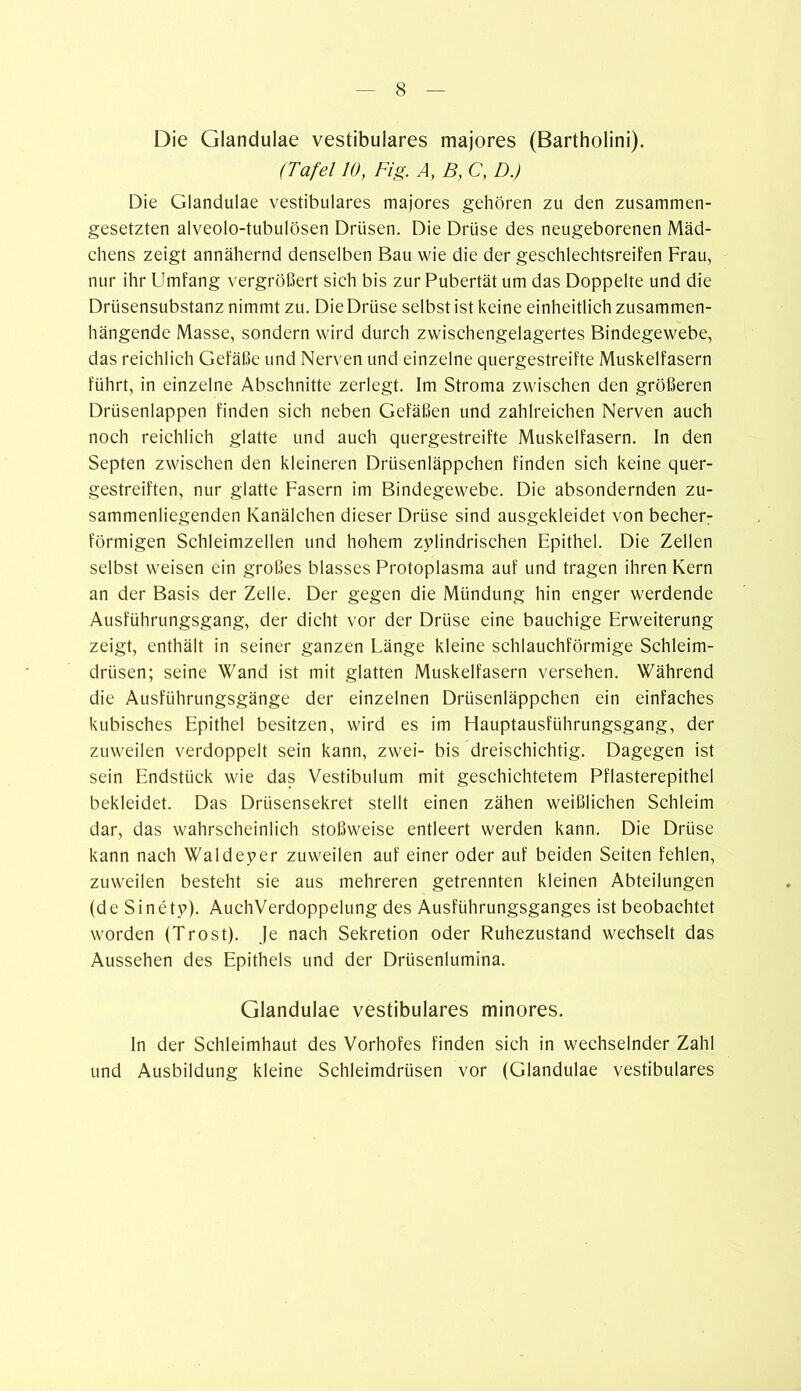 Die Glandulae vestibuläres majores (Bartholini). (Tafel 10, Fig. A, B, C, D.) Die Glandulae vestibuläres majores gehören zu den zusammen- gesetzten alveolo-tubulösen Drüsen. Die Drüse des neugeborenen Mäd- chens zeigt annähernd denselben Bau wie die der geschlechtsreifen Frau, nur ihr Umfang vergrößert sich bis zur Pubertät um das Doppelte und die Drüsensubstanz nimmt zu. Die Drüse selbst ist keine einheitlich zusammen- hängende Masse, sondern wird durch zwischengelagertes Bindegewebe, das reichlich Gefäße und Nerven und einzelne quergestreifte Muskelfasern führt, in einzelne Abschnitte zerlegt. Im Stroma zwischen den größeren Drüsenlappen finden sich neben Gefäßen und zahlreichen Nerven auch noch reichlich glatte und auch quergestreifte Muskelfasern. In den Septen zwischen den kleineren Drüsenläppehen finden sich keine quer- gestreiften, nur glatte Fasern im Bindegewebe. Die absondernden zu- sammenliegenden Kanälchen dieser Drüse sind ausgekleidet von becher- förmigen Schleimzellen und hohem zylindrischen Epithel. Die Zellen selbst weisen ein großes blasses Protoplasma auf und tragen ihren Kern an der Basis der Zelle. Der gegen die Mündung hin enger werdende Ausführungsgang, der dicht vor der Drüse eine bauchige Erweiterung zeigt, enthält in seiner ganzen Länge kleine schlauchförmige Schleim- drüsen; seine Wand ist mit glatten Muskelfasern versehen. Während die Ausführungsgänge der einzelnen Drüsenläppchen ein einfaches kubisches Epithel besitzen, wird es im Hauptausführungsgang, der zuweilen verdoppelt sein kann, zwei- bis dreischichtig. Dagegen ist sein Endstück wie das Vestibulum mit geschichtetem Pflasterepithel bekleidet. Das Drüsensekret stellt einen zähen weißlichen Schleim dar, das wahrscheinlich stoßweise entleert werden kann. Die Drüse kann nach Waldeyer zuweilen auf einer oder auf beiden Seiten fehlen, zuweilen besteht sie aus mehreren getrennten kleinen Abteilungen (de Sinety). AuchVerdoppelung des Ausführungsganges ist beobachtet worden (Trost). Je nach Sekretion oder Ruhezustand wechselt das Aussehen des Epithels und der Drüsenlumina. Glandulae vestibuläres minores. In der Schleimhaut des Vorhofes finden sich in wechselnder Zahl und Ausbildung kleine Schleimdrüsen vor (Glandulae vestibuläres