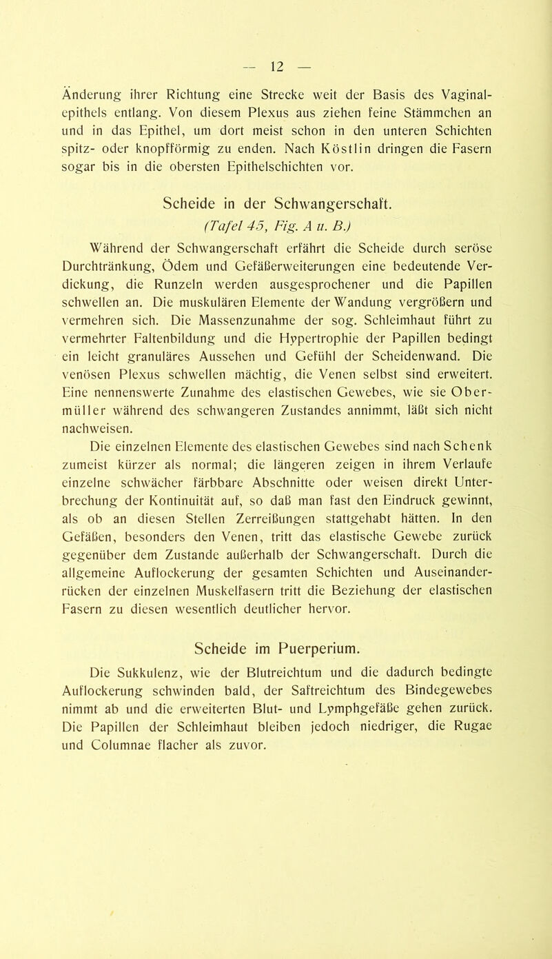 Änderung ihrer Richtung eine Strecke weit der Basis des Vaginal- epithels entlang. Von diesem Plexus aus ziehen feine Stämmchen an und in das Epithel, um dort meist schon in den unteren Schichten spitz- oder knopfförmig zu enden. Nach Köstlin dringen die Fasern sogar bis in die obersten Epithelschichten vor. Scheide in der Schwangerschaft. (Tafel 45, Fig. A u. B.) Während der Schwangerschaft erfährt die Scheide durch seröse Durchtränkung, Ödem und Gefäßerweiterungen eine bedeutende Ver- dickung, die Runzeln werden ausgesprochener und die Papillen schwellen an. Die muskulären Elemente der Wandung vergrößern und vermehren sich. Die Massenzunahme der sog. Schleimhaut führt zu vermehrter Faltenbildung und die Hypertrophie der Papillen bedingt ein leicht granuläres Aussehen und Gefühl der Scheidenwand. Die venösen Plexus schwellen mächtig, die Venen selbst sind erweitert. Eine nennenswerte Zunahme des elastischen Gewebes, wie sie Ober- miiller während des schwangeren Zustandes annimmt, läßt sich nicht nachweisen. Die einzelnen Elemente des elastischen Gewebes sind nach Schenk zumeist kürzer als normal; die längeren zeigen in ihrem Verlaufe einzelne schwächer färbbare Abschnitte oder weisen direkt Unter- brechung der Kontinuität auf, so daß man fast den Eindruck gewinnt, als ob an diesen Stellen Zerreißungen stattgehabt hätten. In den Gefäßen, besonders den Venen, tritt das elastische Gewebe zurück gegenüber dem Zustande außerhalb der Schwangerschaft. Durch die allgemeine Auflockerung der gesamten Schichten und Auseinander- rücken der einzelnen Muskelfasern tritt die Beziehung der elastischen Fasern zu diesen wesentlich deutlicher hervor. Scheide im Puerperium. Die Sukkulenz, wie der Blutreichtum und die dadurch bedingte Auflockerung schwinden bald, der Saftreichtum des Bindegewebes nimmt ab und die erweiterten Blut- und Lymphgefäße gehen zurück. Die Papillen der Schleimhaut bleiben jedoch niedriger, die Rugae und Columnae flacher als zuvor.