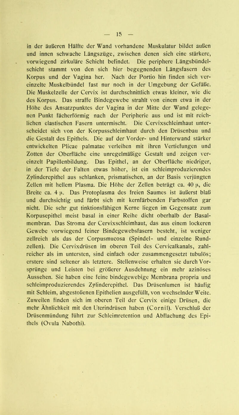 in der äußeren Hälfte der Wand vorhandene Muskulatur bildet außen und innen schwache Längszüge, zwischen denen sich eine stärkere, vorwiegend zirkuläre Schicht befindet. Die periphere Längsbiindel- schicht stammt von den sich hier begegnenden Längsfasern des Korpus und der Vagina her. Nach der Portio hin finden sich ver- einzelte Muskelbündel fast nur noch in der Umgebung der Gefäße. Die Muskelzelle der Cervix ist durchschnittlich etwas kleiner, wie die des Korpus. Das straffe Bindegewebe strahlt von einem etwa in der Höhe des Ansatzpunktes der Vagina in der Mitte der Wand gelege- nen Punkt fächerförmig nach der Peripherie aus und ist mit reich- lichen elastischen Fasern untermischt. Die Cervixschleimhaut unter- scheidet sich von der Korpusschleimhaut durch den Drüsenbau und die Gestalt des Epithels. Die auf der Vorder- und Hinterwand stärker entwickelten Plicae palmatae verleihen mit ihren Vertiefungen und Zotten der Oberfläche eine unregelmäßige Gestalt und zeigen ver- einzelt Papillenbildung. Das Epithel, an der Oberfläche niedriger, in der Tiefe der Falten etwas höher, ist ein schieimproduzierendcs Zylinderepithel aus schlanken, prismatischen, an der Basis verjüngten Zellen mit hellem Plasma. Die Höhe der Zellen beträgt ca. 40 ja, die Breite ca. 4 ja. Das Protoplasma des freien Saumes ist äußerst blaß und durchsichtig und färbt sieh mit kernfärbenden Farbstoffen gar nicht. Die sehr gut tinktionsfähigen Kerne liegen im Gegensatz zum Korpusepithel meist basal in einer Reihe dicht oberhalb der Basal- membran. Das Stroma der Cervixschleimhaut, das aus einem lockeren Gewebe vorwiegend feiner Bindegewebsfasern besteht, ist weniger zellreich als das der Corpusmucosa (Spindel- und einzelne Rund- zellen). Die Cervixdrüsen im oberen Teil des Cervicalkanals, zahl- reicher als im untersten, sind einfach oder zusammengesetzt tubulös; erstere sind seltener als letztere. Stellenweise erhalten sie durch Vor- sprünge und Leisten bei größerer Ausdehnung ein mehr azinöses Aussehen. Sie haben eine feine bindegewebige Membrana propria und schleimproduzierendes Zylinderepithel. Das Drüsenlumen ist häufig mit Schleim, abgestoßenen Epithelien ausgefüllt, von wechselnder Weite. Zuweilen finden sich im oberen Teil der Cervix einige Drüsen, die mehr Ähnlichkeit mit den Uterindrüsen haben (Cornil). Verschluß der Drüsenmündung führt zur Schleimretention und Abflachung des Epi- thels (Ovula Nabothi).
