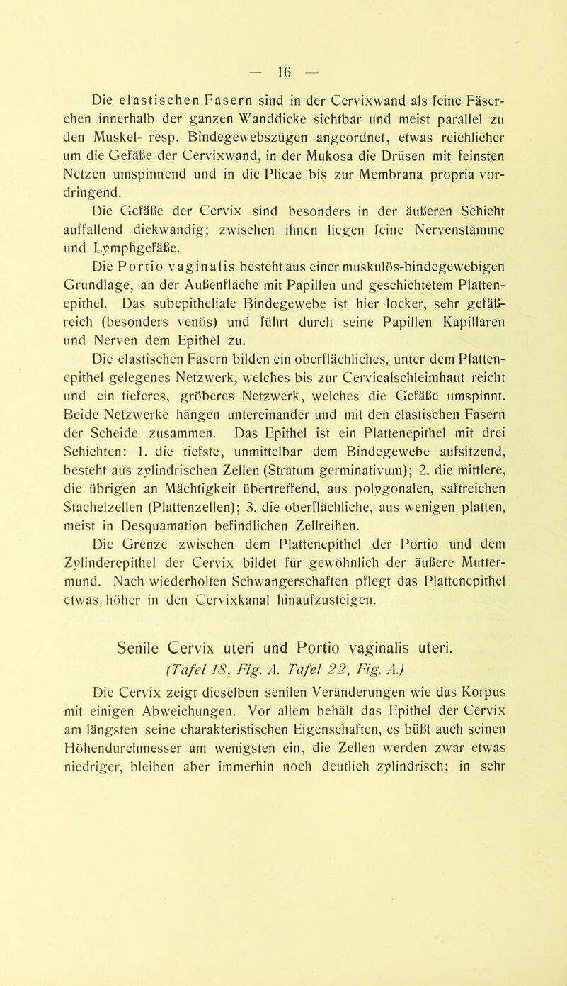 Die elastischen Fasern sind in der Cervixwand als feine Fäser- chen innerhalb der ganzen Wanddicke sichtbar und meist parallel zu den Muskel- resp. Bindegewebszügen angeordnet, etwas reichlicher um die Gefäße der Cervixwand, in der Mukosa die Drüsen mit feinsten Netzen umspinnend und in die Plicae bis zur Membrana propria vor- dringend. Die Gefäße der Cervix sind besonders in der äußeren Schicht auffallend dickwandig; zwischen ihnen liegen feine Nervenstämme und Lymphgefäße. Die Portio vaginalis besteht aus einer muskulös-bindegewebigen Grundlage, an der Außenfläche mit Papillen und geschichtetem Platten- epithel. Das subepitheliale Bindegewebe ist hier locker, sehr gefäß- reich (besonders venös) und führt durch seine Papillen Kapillaren und Nerven dem Epithel zu. Die elastischen Fasern bilden ein oberflächliches, unter dem Platten- epithel gelegenes Netzwerk, welches bis zur Cervicalschleimhaut reicht und ein tieferes, gröberes Netzwerk, welches die Gefäße umspinnt. Beide Netzwerke hängen untereinander und mit den elastischen Fasern der Scheide zusammen. Das Epithel ist ein Plattenepithel mit drei Schichten: 1. die tiefste, unmittelbar dem Bindegewebe aufsitzend, besteht aus zylindrischen Zellen (Stratum germinativum); 2. die mittlere, die übrigen an Mächtigkeit übertreffend, aus polygonalen, saftreichen Stachelzellen (Plattenzellen); 3. die oberflächliche, aus wenigen platten, meist in Desquamation befindlichen Zellreihen. Die Grenze zwischen dem Plattenepithel der Portio und dem Zylinderepithel der Cervix bildet für gewöhnlich der äußere Mutter- mund. Nach wiederholten Schwangerschaften pflegt das Plattenepithel etwas höher in den Cervixkanal hinaufzusteigen. Senile Cervix uteri und Portio vaginalis uteri. (Tafel 18, Fig. A. Tafel 22, Fig. A.) Die Cervix zeigt dieselben senilen Veränderungen wie das Korpus mit einigen Abweichungen. Vor allem behält das Epithel der Cervix am längsten seine charakteristischen Eigenschaften, es büßt auch seinen Höhendurchmesser am wenigsten ein, die Zellen werden zwar etwas niedriger, bleiben aber immerhin noch deutlich zylindrisch; in sehr