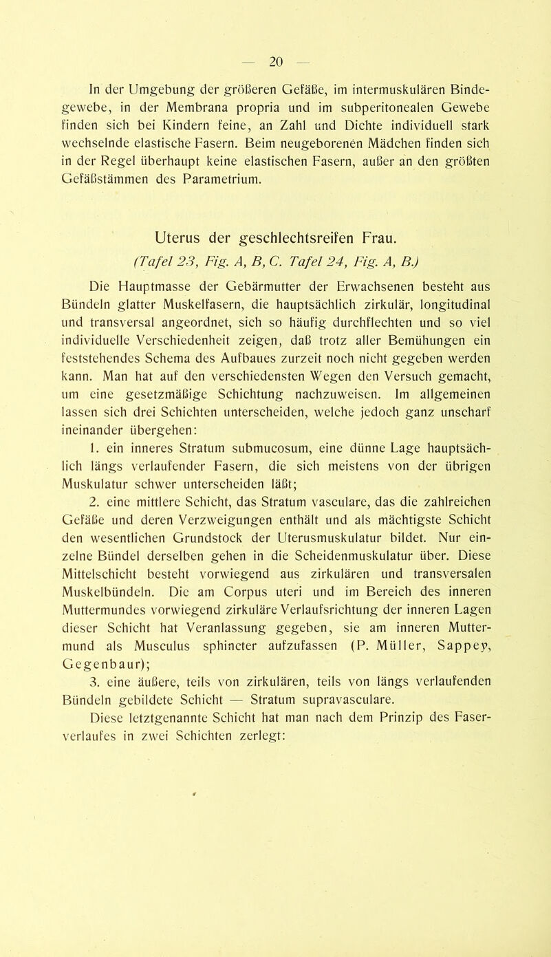 In der Umgebung der größeren Gefäße, im intermuskulären Binde- gewebe, in der Membrana propria und im subperitonealen Gewebe finden sich bei Kindern feine, an Zahl und Dichte individuell stark wechselnde elastische Fasern. Beim neugeborenen Mädchen finden sich in der Regel überhaupt keine elastischen Fasern, außer an den größten Gefäßstämmen des Parametrium. Uterus der geschlechtsreifen Frau. (Tafel 23, Fig A, B, C. Tafel 24, Fig A, B.) Die Hauptmasse der Gebärmutter der Erwachsenen besteht aus Bündeln glatter Muskelfasern, die hauptsächlich zirkulär, longitudinal und transversal angeordnet, sich so häufig durchflechten und so viel individuelle Verschiedenheit zeigen, daß trotz aller Bemühungen ein feststehendes Schema des Aufbaues zurzeit noch nicht gegeben werden kann. Man hat auf den verschiedensten Wegen den Versuch gemacht, um eine gesetzmäßige Schichtung nachzuweisen. Im allgemeinen lassen sich drei Schichten unterscheiden, welche jedoch ganz unscharf ineinander übergehen: 1. ein inneres Stratum submucosum, eine dünne Lage hauptsäch- lich längs verlaufender Fasern, die sich meistens von der übrigen Muskulatur schwer unterscheiden läßt; 2. eine mittlere Schicht, das Stratum vasculare, das die zahlreichen Gefäße und deren Verzweigungen enthält und als mächtigste Schicht den wesentlichen Grundstock der Uterusmuskulatur bildet. Nur ein- zelne Bündel derselben gehen in die Scheidenmuskulatur über. Diese Mittelschicht besteht vorwiegend aus zirkulären und transversalen Muskelbündeln. Die am Corpus uteri und im Bereich des inneren Muttermundes vorwiegend zirkuläre Verlaufsrichtung der inneren Lagen dieser Schicht hat Veranlassung gegeben, sie am inneren Mutter- mund als Musculus sphincter aufzufassen (P. Müller, Sappep, Gegenbaur); 3. eine äußere, teils von zirkulären, teils von längs verlaufenden Bündeln gebildete Schicht — Stratum supravasculare. Diese letztgenannte Schicht hat man nach dem Prinzip des Faser- verlaufes in zwei Schichten zerlegt:
