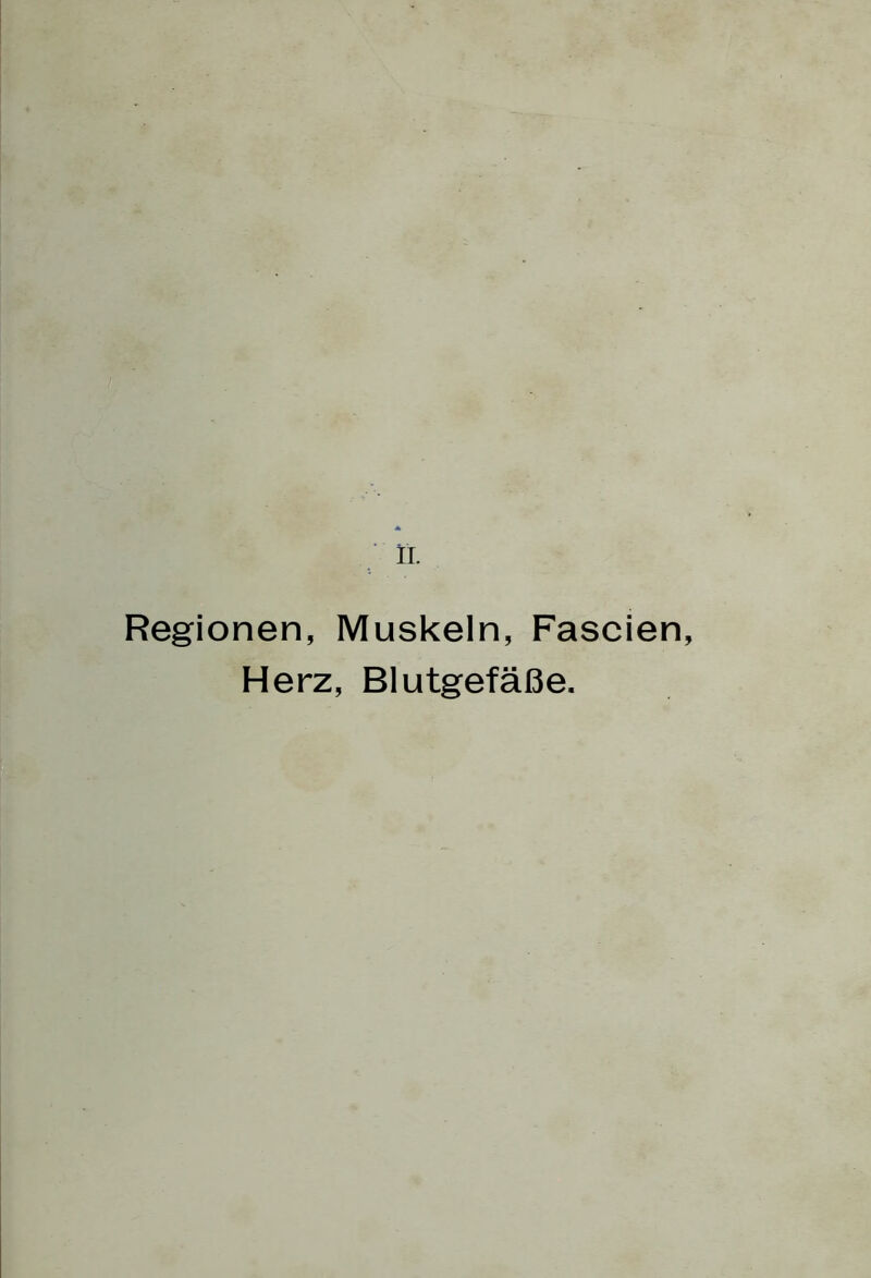 Regionen, Muskeln, Fascien, Herz, Blutgefäße.