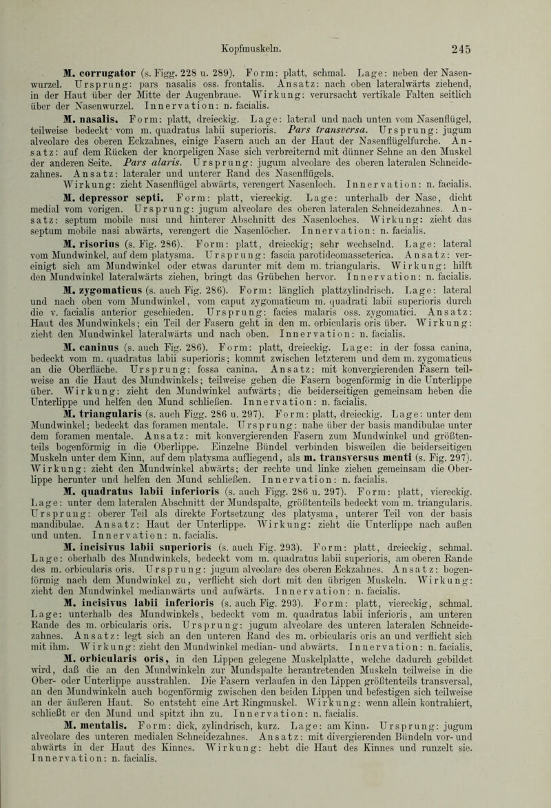 M. corrugator (s. Figg. 228 u. 289). Form: platt, sclimal. Lage: neben der Nasen- wurzel. Ursprung: pars nasalis oss. frontalis. Ansatz: nach oben lateralwärts ziehend, in der Haut über der Mitte der Augenbraue. Wirkung: verursacht vertikale Falten seitlich über der Nasenwurzel. Innervation: n. facialis. M. nasalis. Form: platt, dreieckig. Lage: lateral und nach unten vom Nasenflügel, teilweise bedeckt'vom m. quadratus labii superioris. Pars transversa. Ursprung: jugum alveolare des oberen Eckzahnes, einige Fasern auch an der Haut der Nasenflügelfurche. An- satz: auf dem Rücken der knorpeligen Nase sich verbreiternd mit dünner Sehne an den Muskel der anderen Seite. Pars alaris. Ursprung: jugum alveolare des oberen lateralen Schneide- zahnes. Ansatz: lateraler und unterer Rand des Nasenflügels. Wirkung: zieht Nasenflügel abwärts, verengert Nasenloch. Innervation: n. facialis. M. depressor septi. Form: platt, viereckig. Lage: unterhalb der Nase, dicht medial vom vorigen. Ursprung: jugum alveolare des oberen lateralen Schneidezahnes. An- satz: septum mobile nasi und hinterer Abschnitt des Nasenloches. Wirkung: zieht das septum mobile nasi abwärts, verengert die Nasenlöcher. Innervation: n. facialis. M. risorius (s. Fig. 286). Form: platt, dreieckig; sehr wechselnd. Lage: lateral vom Mundwinkel, auf dem platysma. Ursprung: fascia parotideomasseterica. Ansatz: ver- einigt sich am Mundwinkel oder etwas darunter mit dem m. triangularis. Wirkung: hilft den Mundwinkel lateralwärts ziehen, bringt das Grübchen hervor. Innervation: n. facialis. M. zygomaticus (s. auch Fig. 286). Form: länglich plattzylindrisch. Lage: lateral und nach oben vom Mundwinkel, vom caput zygomaticum m. quadrati labii superioris durch die v. facialis anterior geschieden. Ursprung: facies malaris oss. zvgomatici. Ansatz: Haut des Mundwinkels; ein Teil der Fasern geht in den m. orbicularis oris über. Wirkung: zieht den Mundwinkel lateralwärts und nach oben. Innervation: n. facialis. M. caninns (s. auch Fig. 286). Form: platt, dreieckig. Lage: in der fossa canina, bedeckt vom m. quadratus labii superioris; kommt zwischen letzterem und dem m. zygomaticus an die Oberfläche. Ursprung: fossa canina. Ansatz: mit konvergierenden Fasern teil- weise an die Haut des Mundwinkels; teilweise gehen die Fasern bogenförmig in die Unterlippe über. Wirkung: zieht den Mundwinkel aufwärts; die beiderseitigen gemeinsam heben die Unterlippe und helfen den Mund schließen. Innervation: n. facialis. M. triangularis (s. auch Figg. 286 u. 297). Form: platt, dreieckig. Lage: unter dem Mundwinkel; bedeckt das foramen mentale. Ursprung: nahe über der basis mandibulae unter dem foramen mentale. Ansatz: mit konvergierenden Fasern zum Mundwinkel imd größten- teils bogenförmig in die Oberlippe. Einzelne Bündel verbinden bisweilen die beiderseitigen Muskeln unter dem Kinn, auf dem platysma aufliegend, als in. transversus menti (s. Fig. 297). Wirkung: zieht den Mundwinkel abwärts; der rechte und linke ziehen gemeinsam die Ober- lippe herunter und helfen den Mund schließen. Innervation: n. facialis. M. quadratus labii inferioris (s. auch Figg. 286 u. 297). Form: platt, viereckig. Lage: unter dem lateralen Abschnitt der Mundspalte, größtenteils bedeckt vom m. triangularis. Ursprung: oberer Teil als direkte Fortsetzung des platysma, unterer Teil von der basis mandibulae. Ansatz: Haut der Unterlippe. Wirkung: zieht die Unterlippe nach außen und unten. Innervation: n. facialis. M. incisivus labii superioris (s. auch Fig. 293). Form: platt, dreieckig, schmal. Lage: oberhalb des Mundwinkels, bedeckt vom m. quadratus labii superioris, am oberen Rande des m. orbicularis oris. Urspr un g: jugum alveolare des oberen Eckzahnes. Ansatz: bogen- förmig nach dem Mundwinkel zu, verflicht sich dort mit den übrigen Muskeln. Wirkung: zieht den Mundwinkel medianwärts und aufwärts. Innervation: n. facialis. M. incisivus labii inferioris (s. auch Fig. 293). Form: platt, viereckig, schmal. Lage: unterhalb des Mundwinkels, bedeckt vom m. quadratus labii inferioris, am unteren Rande des m. orbicularis oris. Ursprung: jugum alveolare des unteren lateralen Schneide- zahnes. Ansatz: legt sich an den unteren Rand des m. orbicularis oris an und verflicht sich mit ihm. Wirkung: zieht den Mundwinkel median-und abwärts. Innervation: n. facialis. M. orbicularis oris, in den Lippen gelegene Muskelplatte, welche dadurch gebildet wird, daß die an den Mundwinkeln zur Mundspalte herantretenden Muskeln teilweise in die Ober- oder Unterlippe ausstrahlen. Die Fasern verlaufen in den Lippen größtenteils transversal, an den Mundwinkeln auch bogenförmig zwischen den beiden Lippen und befestigen sich teilweise an der äußeren Haut. So entsteht eine Art Ringmuskel. Wirkung: wenn allein kontrahiert, schließt er den Mund und spitzt ihn zu. Innervation: n. facialis. M. mentalis. Form: dick, zylindrisch, kurz. Lage: am Kinn. Ursprung: jugum alveolare des unteren medialen Schneidezahnes. Ansatz: mit divergierenden Bündeln vor-und abwärts in der Haut des Kinnes. Wirkung: hebt die Haut des Kinnes und runzelt sie. Innervation: n. facialis.