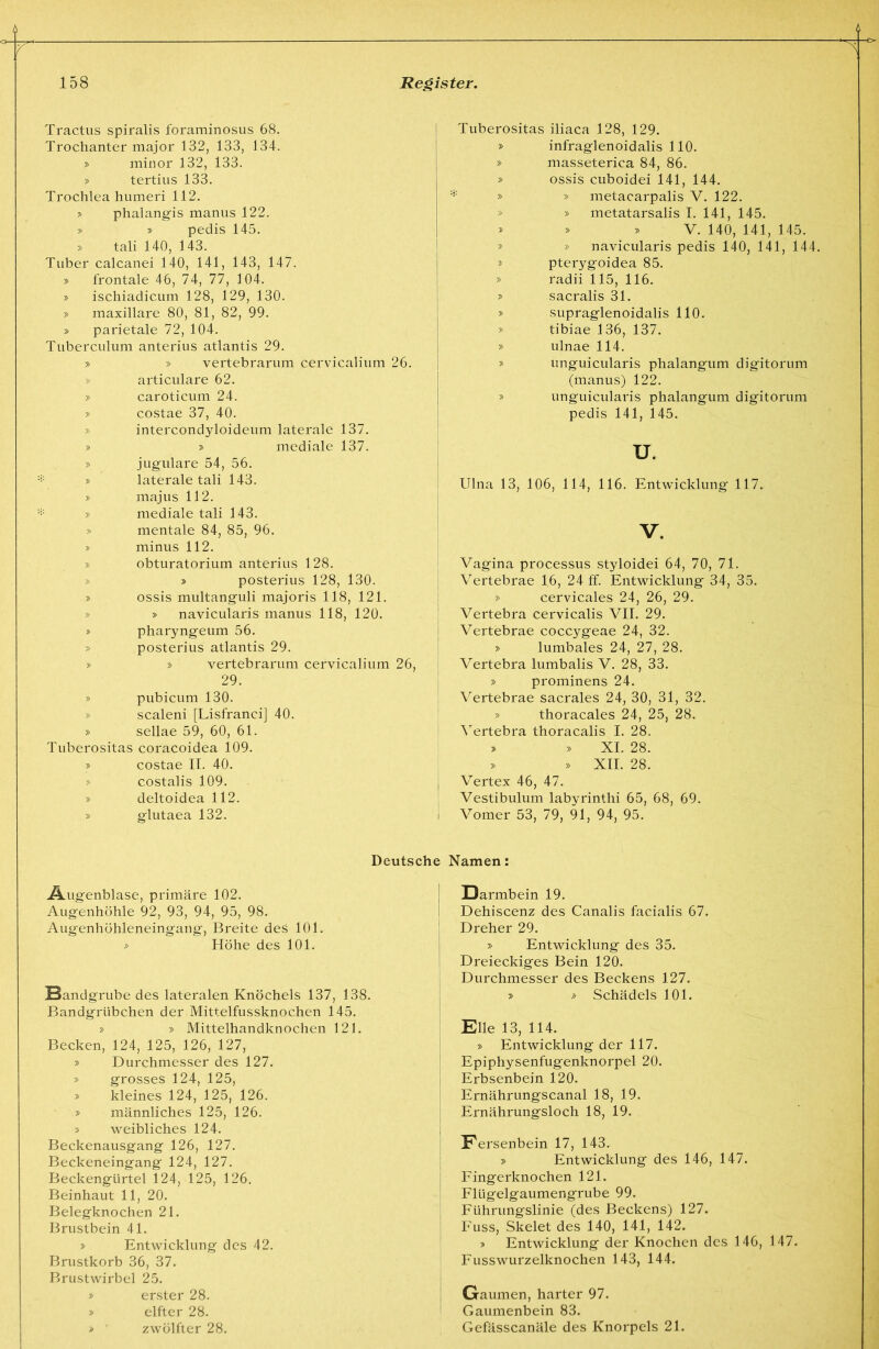 Tractus spiralis foraminosus 68. Trochanter major 132, 133, 134. 5> minor 132, 133. » tertius 133. Trochlea humeri 112. » phalangis maniis 122. » » pedis 145. » tali 140, 143. Tuber calcanei 140, 141, 143, 147. » frontale 46, 74, 77, 104. » ischiadicum 128, 129, 130. » maxillare 80, 81, 82, 99. » parietale 72, 104. Tuberculum anterius atlantis 29. » » vertebrarum cervicalium 26. » articulare 62. » caroticum 24. » costae 37, 40. » intercondyloideum laterale 137. » :» mediale 137. » jugulare 54, 56. = » laterale tali 143. » majus 112. » mediale tali 143. » mentale 84, 85, 96. » minus 112. » obturatorium anterius 128. » » posterius 128, 130. 5> ossis multanguli majoris 118, 121. » » navicularis manus 118, 120. » pharyngeum 56. ;> posterius atlantis 29. » » vertebrarum cervicalium 26, 29. » pubicum 130. » scaleni [Lisfranci] 40. » sellae 59, 60, 61. Tuberositas coracoidea 109. » costae II. 40. » costalis 109. » deltoidea 112. » glutaea 132. Tuberositas iliaca 128, 129. » infraglenoidalis 110. » masseterica 84, 86. » ossis cuboidei 141, 144. » » metacarpalis V. 122. » » metatarsalis I. 141, 145. » » » V. 140, 141, 145. » » navicularis pedis 140, 141, 144. » pterygoidea 85. » radii 115, 116. » sacralis 31. » supraglenoidalis 110. » tibiae 136, 137. » ulnae 114. » unguicularis phalangum digitorum (manus) 122. » unguicularis phalangum digitorum pedis 141, 145. u. Ulna 13, 106, 114, 116. Entwicklung 117. V. Vagina processus styloidei 64, 70, 71. Vertebrae 1.6, 24 ff. Entwicklung 34, 35. » cervicales 24, 26, 29. Vertebra cervicalis VII. 29. Vertebrae coccygeae 24, 32. » lumbales 24, 27, 28. Vertebra lumbalis V. 28, 33. » prominens 24. Vertebrae sacrales 24, 30, 31, 32. » thoracales 24, 25, 28. Vertebra thoracalis I. 28, » XI. 28. » » XII. 28. Vertex 46, 47. Vestibulum labyrinthi 65, 68, 69. Vomer 53, 79, 91, 94, 95. Deutsche Namen: Äugenblase, primäre 102. Augenhöhle 92, 93, 94, 95, 98. Augenhühleneingang, Breite des 101. Höhe des 101. Bandgrube des lateralen Knöchels 137, 138. Bandgrübchen der Mittelfussknochen 145. » » Mittelhandknochen 121. Becken, 124, 125, 126, 127, » Durchmesser des 127. » grosses 124, 125, » kleines 124, 125, 126. » männliches 125, 126. s weibliches 124. Beckenausgang 126, 127. Beckeneingang 124, 127. Beckengürtel 124, 125, 126. Beinhaut 11, 20. Belegknochen 21. Brustbein 41. » Entwicklung des 42. Brustkorb 36, 37. Brustwirbel 25. » erster 28. » elfter 28. ■ zwölfter 28. I Darmbein 19. I Dehiscenz des Canalis hicialis 67. j Dreher 29. I » Entwicklung des 35. ! Dreieckiges Bein 120. : Durchmesser des Beckens 127. i » Schädels 101. Elle 13, 114. » Entwicklung der 117. Epiphysenfugenknorpel 20. Erbsenbein 120. Ernährungscanal 18, 19. Ernährungsloch 18, 19. Fersenbein 17, 143. » Entwicklung des 146, 147. Eingerknochen 121. Flügelgaumengrube 99. Führungslinie (des Beckens) 127. Fuss, Skelet des 140, 141, 142. » Entwicklung der Knochen des 146, 147. Fuss Wurzelknochen 143, 144. Gaumen, harter 97. Gaumenbein 83. Gefässcanäle des Knorpels 21.