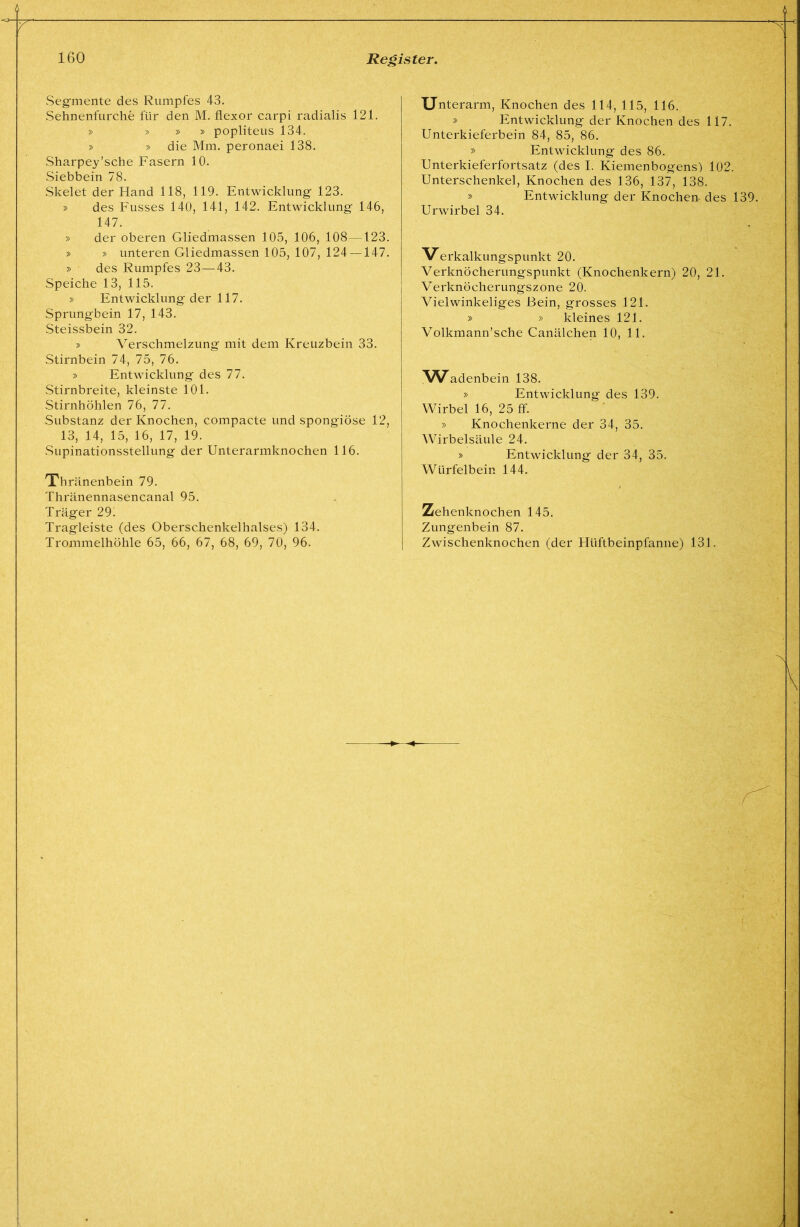 Segmente des Rumpfes 43. Sehnenfurche für den M. flexor carpi radialis 121. » » » » popliteus 134. > » die Mm. peronaei 138. Sharpey’sche Fasern 10. Siebbein 78. Skelet der Hand 118, 119. Entwicklung 123. » des Fusses 140, 141, 142. Entwicklung 146, 147. » der oberen Gliedmassen 105, 106, 108—123. » » unteren Gliedmassen 105, 107, 124 —147. » des Rumpfes 23—43. Speiche 13, 115. » Entwicklung der 117. Sprungbein 17, 143. Steissbein 32. » Verschmelzung mit dem Kreuzbein 33. Stirnbein 74, 75, 76. » Entwicklung des 77. Stirnbreite, kleinste 101. Stirnhöhlen 76, 77. Substanz der Knochen, compacte und spongiöse 12, 13, 14, 15, 16, 17, 19. .Supinationsstellung der Unterarmknochen 116. Xhränenbein 79. Thränennasencanal 95. Träger 29. Tragleiste (des Oberschenkelhalses) 134. Trommelhöhle 65, 66, 67, 68, 69, 70, 96. Unterarm, Knochen des 114, 115, 116. » Entwicklung der Knochen des 117. Unterkieferbein 84, 85, 86. » Entwicklung des 86. Unterkieferfortsatz (des I. Kiemenbogens) 102. Unterschenkel, Knochen des 136, 137, 138. » Entwicklung der Knochen- des 139. Urwirbel 34. Verkalkungspunkt 20. Verknöcherungspunkt (Knochenkern) 20, 21. Verknöcherungszone 20. Vielwinkeliges Bein, grosses 121. » » kleines 121. Volkmann’sche Canälchen 10, 11. VV^adenbein 138. » Entwicklung des 139. Wirbel 16, 25 ff. » Knochenkerne der 34, 35. Wirbelsäule 24. » Entwicklung der 34, 35. Würfelbein 144. Zehenknochen 145. Zungenbein 87. Zwischenknochen (der Hüftbeinpfanne) 131.