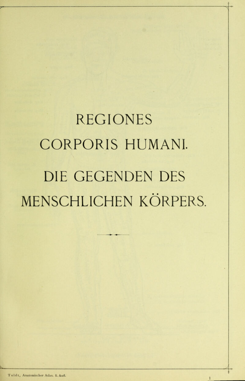 T' REGIONES CORPORIS HUMANI. DIE GEGENDEN DES MENSCHLICHEN KÖRPERS. Toldt, Anatomischer Atlas. 8. Aufl,