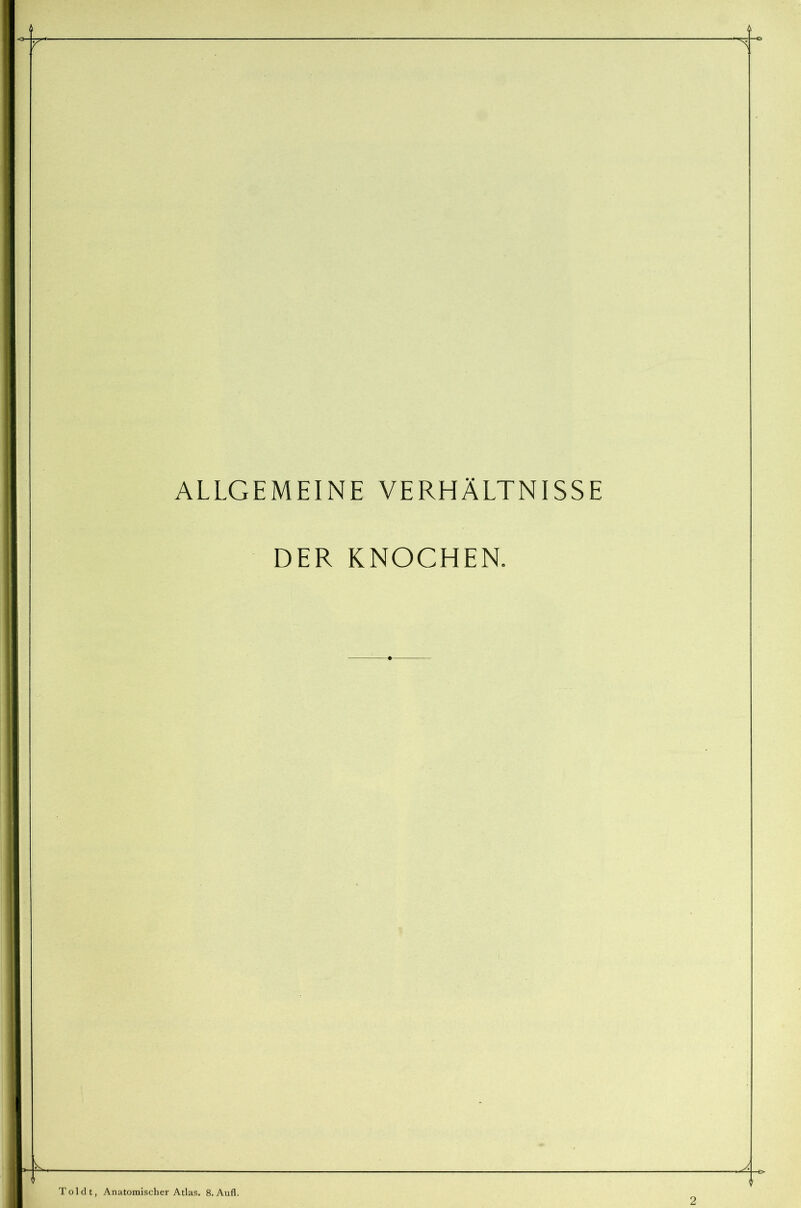 ALLGEMEINE VERHÄLTNISSE DER KNOCHEN. .k. 1 Toldt, Anatomischer Atlas. 8. Aufl. 2