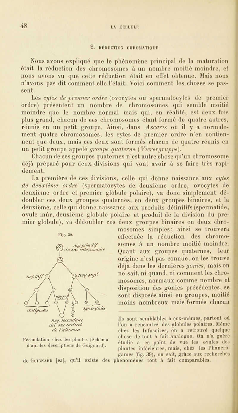 2. RÉDUCTION CHROMATIQUE Nous avons expliqué que le phénomène principal de la maturation était la réduction des chromosomes à un nombre moitié moindre, et nous avons vu que cette réduction était en effet obtenue. Mais nous n’avons pas dit comment elle l’était. Voici comment les choses se pas- sent. Les cytes de premier ordre (ovocytes ou spermatocytes de premier ordre) présentent un nombre de chromosomes qui semble moitié moindre que le nombre normal mais qui, en réalité, est deux fois plus grand, chacun de ces chromosomes étant formé de quatre autres, réunis en un petit groupe. Ainsi, dans Ascaris où il y a normale- ment quatre chromosomes, les cytes de premier ordre n’en contien- nent que deux, mais ces deux sont formés chacun de quatre réunis en un petit groupe appelé groupe quaterne [Vierergrappe). Chacun de ces groupes quaternes n’est autre chose qu’un chromosome déjà préparé pour deux divisions qui vont avoir à se faire très rapi- dement. La première de ces divisions, celle qui donne naissance aux cytes de deuxième ordre (spermatocytes de deuxième ordre, ovocytes de deuxième ordre et premier globule polaire), va donc simplement dé- doubler ces deux groupes quaternes, en deux groupes binaires, et la deuxième, celle qui donne naissance aux produits définitifs (spermatide, ovule mûr, deuxième globule polaire et produit de la division du pre- mier globule), va dédoubler ces deux groupes binaires en deux chro- mosomes simples; ainsi se trouvera effectuée la réduction des chromo- somes à un nombre moitié moindre. Quant aux groupes quaternes, leur origine n’est pas connue, on les trouve déjà dans les dernièresgonies, maison ne sait, ni quand, ni comment les chro- mosomes, normaux comme nombre et disposition des gonies précédentes, se sont disposés ainsi en groupes, moitié moins nombreux mais formés chacun Fig. 39. not/ primtii/' du sac enôrj/onnaire ,© no/, mfr Ç) O O O O O q om. li/vo^eé © ”sed \ - 0.|© noÿ éup ■ V Twy. Jecono/ojre % © Jj/oierpioées Ils sont semblables à eux-mêmes, partout où l’on a rencontré des globules polaires. Même chez les Infusoires, on a retrouvé quelque chose de tout à fait analogue. On n’a guère étudié à ce point de vue les ovules des plantes inférieures, mais, chez les Phanéro- games (fig. 39), on sait, grâce aux recherches de Guignard [92|, qu’il existe des phénomènes tout à fait comparables. cdu^ ja c ùiiiicU' de / adiunen. Fécondation chez les plantes (Schéma d’ap. les descriptions de Guignard).