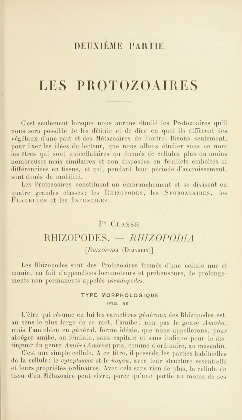 DEIIXIKMIÎ l'AUl'Hï LES PROTOZOAIRES C’est seulement lors([iie nous aurons étudié les Protozoaires qu’il nous sera possible de les définir et de dire en ({uoi ils diffèrent des végétaux d’une part et des Métazoaires de l’autre. Disons seulement, pour fixer les idées du lecteur, que nous allons étudier sous ce nom les êtres qui sont unicellulaires ou formés de cellules plus ou moins nombreuses mais similaires et non disposées en feuillets emboîtés ni différenciées en tissus, et qui, pendant leur période d’accroissement, sont doués de mobilité. Les Protozoaires constituent un embranebement et se divisent en quatre grandes classes: les UnizoroDES, les Spohozoaihes, les Flauei.lés et les Ixfusoiues. Classe RHIZOPODES. — RIIIZOPODIA [lllIIZOPODA (Dl’JAUDIn)] Les Ubizopodes sont des Protozoaires formés d’une cellule nue et munie, en fait d’appendices locomoteurs et préhenseurs, de prolonge- ments non permanents appelés pseudopodes. TYPE MORPHOLOGIQUE (FIG. 45) L’être (]ui résume en lui les caractères généraux des Uhizo})odes est, au sens le plus lai*ge de ce mot, l’amilu^ : non pas le genre ^imœba, mais l’amœbien en généi'al, forme idéale, (jue nous appellerons, pour abréger amibe, au féminin, sans capitale et sans italitjue pour le dis- tinguer du genre Amibe (Amœba) pris, comme d’ordinaire, au masculin. C’est une simple cellule. A ce titre, il possède les parties habituelles de la cellule: le cytoplasnia et le noyau, avec leur structure essentielle et leurs pro[)riétés ordinaires. Avec cela sans rien de j)lus, la cellule de tissu (l’un Métazoaire peut vivre, parce (ju’une }>artie au moins de ses