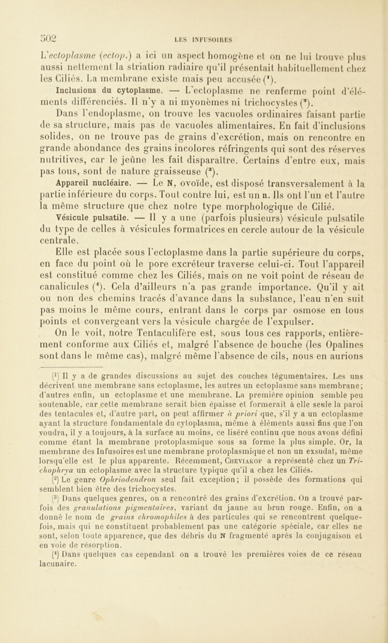 X.'ectojüasme {ectop.) a ici un aspect hoinog-ène ci on ne lui trouve plus aussi netteinent la striation radiaire qu’il présentait liabituellenient chez les Ciliés. La membrane existe mais peu accusée (*). Inclusions du cytoplasme. — L’ectoplasme ne i*enferme point d’élé- ments différenciés. 11 n’y a ni myonèmes ni tricbocystes (*). Dans l’endoplasme, on trouve les vacuoles ordinaires faisant partie de sa structure, mais pas de vacuoles alimentaires. En fait d’inclusions solides, on ne trouve pas de grains d’excrétion, mais on rencontre en grande abondance des grains incolores réfringents qui sont des réserves nutritives, car le jeûne les fait disparaître. Certains d’entre eux, mais pas tous, sont de nature graisseuse (*). Appareil nucléaire. — Le N, ovoïde, est disposé transversalement à la partie inférieure du corps. Tout contre lui, est un n. Ils ont l’un et l’autre la même structure que chez notre type morphologique de Cilié. Vésicule pulsatile. — H y a une (parfois plusieurs) vésicule pulsatile du type de celles à vésicules formatrices en cercle autour de la vésicule centrale. Elle est placée sous l’ectoplasme dans la partie supérieure du corps, en face du point où le pore excréteur traverse celui-ci. Tout l’appareil est constitué comme chez les Ciliés, mais on ne voit point de réseau de canalicules (*). Cela d’ailleurs n’a pas grande importance. Qu’il y ait ou non des chemins tracés d’avance dans la substance, l’eau n’en suit pas moins le môme cours, entrant dans le corps par osmose en tous points et convergeant vers la vésicule chargée de l’expulser. On le voit, notre Tentaculifère est, sous tous ces rapports, entière- ment conforme aux Ciliés et, malgré l’absence de bouche (les Opalines sont dans le meme cas), malgré même l’absence de cils, nous en aurions (q II y a de grandes discussions au sujet des couches tégumentaires. Les uns décrivent une membrane sans ectoplasme, les autres un ectoplasme sans membrane; d’autres enfin, un ectoplasme et une membrane. La première opinion semble peu soutenable, car cetle membrane serait bien épaisse et formerait à elle seule la paroi des tentacules et, d’autre part, on peut affirmer à priori que, s’il y a un ectoplasme ayant la structure fondamentale du cytoplasma, môme à éléments aussi fins que l’on voudra, il y a toujours, à la surface au moins, ce liséré continu que nous avons défini comme étant la membrane protoplasmique sous sa forme la plus simple. Or, la membrane des Infusoires est une membrane protoplasmique et non un exsudât, même lorsqu’elle est le plus apparente. Récemment, Cueviakof a représenté chez un Tri- chophrya un ectoplasme avec la structure typique qu’il a chez les Ciliés. (q Le genre Ophriodendron seul fait exception ; il possède des formations qui semblent bien être des trichocystes. (3) Dans quelques genres, on a rencontré des grains d’excrétion. On a trouvé par- fois des granulations pigmentaires, variant du jaune au brun rouge. Enfin, on a donné le nom de grains chromophiles à des particules qui se rencontrent quelque- fois, mais qui ne constituent probablement pas une catégorie spéciale, car elles ne sont, selon toute apparence, que des débris du N fragmenté après la conjugaison et en voie de résorption. (^) Dans quelques cas cependant on a trouvé les premières voies de ce réseau lacunaire.