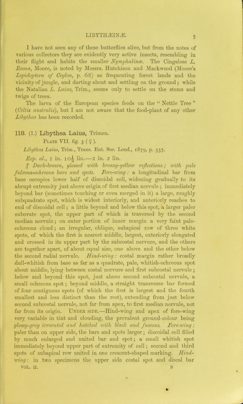 LIBYTII jEIN JE. I have not seen any of these butterflies alive, but from the notes of various collectors they are evidently very active insects, resembling in their flight and habits the smaller Nymphalince. The Cingalese L. Hama, Moore, is noted by Messrs. Hutchison and Mackwood (Moore’s Lepidoptera of Ceylon, p. 68) as frequenting forest lands and the vicinity of jungle, and darting about and settling on the ground ; while the Natalian L. Laius, Trim., seems only to settle on the stems and twigs of trees. The larva of the European species feeds on the “ Nettle Tree ” (Celtis australis), but I am not aware that the food-plant of any other Libythea has been recorded. 118. (1.) Libythea Laius, Trimen. Plate YII. fig. 3 ( $ ). I Libythea Laius, Trim., Trans. Ent. Soc. Lond., 1879, p. 337. Exp. al., I in. 10^ lin.—2 in. 2 lin. £ Dark-brown, glossed with bronzy-yellow reflections; with pale fvlvous-ochreous bars and spots. Fore-wing: a longitudinal bar from base occupies lower half of discoidal cell, widening gradually to its abrupt extremity just above origin of first median nervule ; immediately beyond bar (sometimes touching or even merged in it) a large, roughly subquadrate spot, which is widest interiorly, and anteriorly reaches to end of discoidal cell; a little beyond and below this spot, a larger paler subovate spot, the upper part of which is traversed by the second median nervule; on outer portion of inner margin a very faint pale- ochreous cloud ; an irregular, oblique, subapical row of three white spots, of which the first is nearest middle, largest, exteriorly elongated and crossed in its upper part by the subcostal nervure, and the others are together apart, of about equal size, one above and the other below the second radial nervule. Hind-wing: costal margin rather broadly dull-whitish from base as far as a quadrate, pale, whitish-ochreous spot about middle, lying between costal nervure and first subcostal nervule; below and beyond this spot, just above second subcostal nervule, a small ochreous spot; beyond middle, a straight transverse bar formed of four contiguous spots (of which the first is largest and the fourth smallest and less distinct than the rest), extending from just below second subcostal nervule, not far from apex, to first median nervule, not far from its origin. Under side.—Hind-wing and apex of fore-wing very variable in tint and clouding, the prevalent ground-colour being glossy-grey irroratecl and hatched with black and fuscous. Fore-wing: paler than on upper side, the bars and spots larger; discoidal cell filled by much enlarged and united bar and spot; a small whitish spot immediately beyond upper part of extremity of cell; second and third spots of subapical row united in one crescent-shaped marking. Hind- wing : in two specimens the upper side costal spot and discal bar VOL. II. B