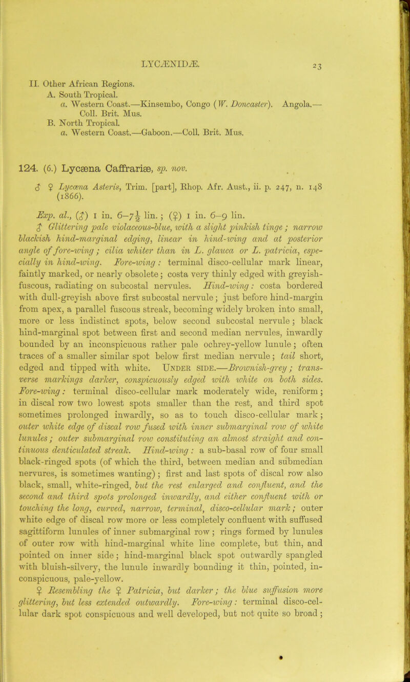 II. Other African Regions. A. South Tropical. a. Western Coast.—Kinsembo, Congo (W. Doncaster). Angola.— Coll. Brit. Mus. B. North Tropical. a. Western Coast.—Gaboon.—Coll. Brit. Mus. 124. (6.) Lycaena Caffrarise, sp. nov. S $ Lyccena Asteris, Trim, [part], Rhop. Afr. Aust., ii. p. 247, n. 148 (1866). Exp. al., (£) I in. 6—7^ lin. ; (£) I in. 6—9 lin. $ Glittering pale violaceous-blue, with a slight pinkish tinge ; narrow blackish hincl-marginal edging, linear in hind-wing and at posterior angle of fore-wing ; cilia whiter than in L. glauca or L. patricia, espe- cially in hind-wing. Fore-wing : terminal disco-cellular mark linear, faintly marked, or nearly obsolete; costa very thinly edged with greyish- fuscous, radiating on subcostal nervules. Hind-wing: costa bordered with dull-greyish above first subcostal nervule; just before hind-margin from apex, a parallel fuscous streak, becoming widely broken into small, more or less indistinct spots, below second subcostal nervule; black hind-marginal spot between first and second median nervules, inwardly bounded by an inconspicuous rather pale ochrey-yellow lunule; often traces of a smaller similar spot below first median nervule; tail short, edged and tipped with white. Under side.—Brownish-grey; trans- verse markings darker, conspicuously edged with white on both sides. Fore-wing: terminal disco-cellular mark moderately wide, reniform; in discal row two lowest spots smaller than the rest, and third spot sometimes prolonged inwardly, so as to touch disco-cellular mark; outer white edge of discal row fused ivith inner submarginal row of white lunules ; outer submarginal row constituting an almost straight and con- tinuous denticulated streak. Hind-wing : a sub-basal row of four small black-ringed spots (of which the third, between median and submedian nervures, is sometimes wanting) ; first and last spots of discal row also black, small, white-ringed, but the rest enlarged and confluent, and the second and third spots prolonged inwardly, and either confluent with or touching the long, curved, narrow, termincd, disco-cellular mark; outer white edge of discal row more or less completely confluent with suffused sagittiform lunules of inner submarginal row; rings formed by lunules of outer row with hind-marginal white line complete, but thin, and pointed on inner side; hind-marginal black spot outwardly spangled with bluish-silvery, the lunule inwardly bounding it thin, pointed, in- conspicuous, pale-yellow. $ Resembling the fjl Patricia, but darker; the blue suffusion more glittering, but less extended outwardly. Fore-wing: terminal disco-cel- lular dark spot conspicuous and well developed, but not quite so broad ;