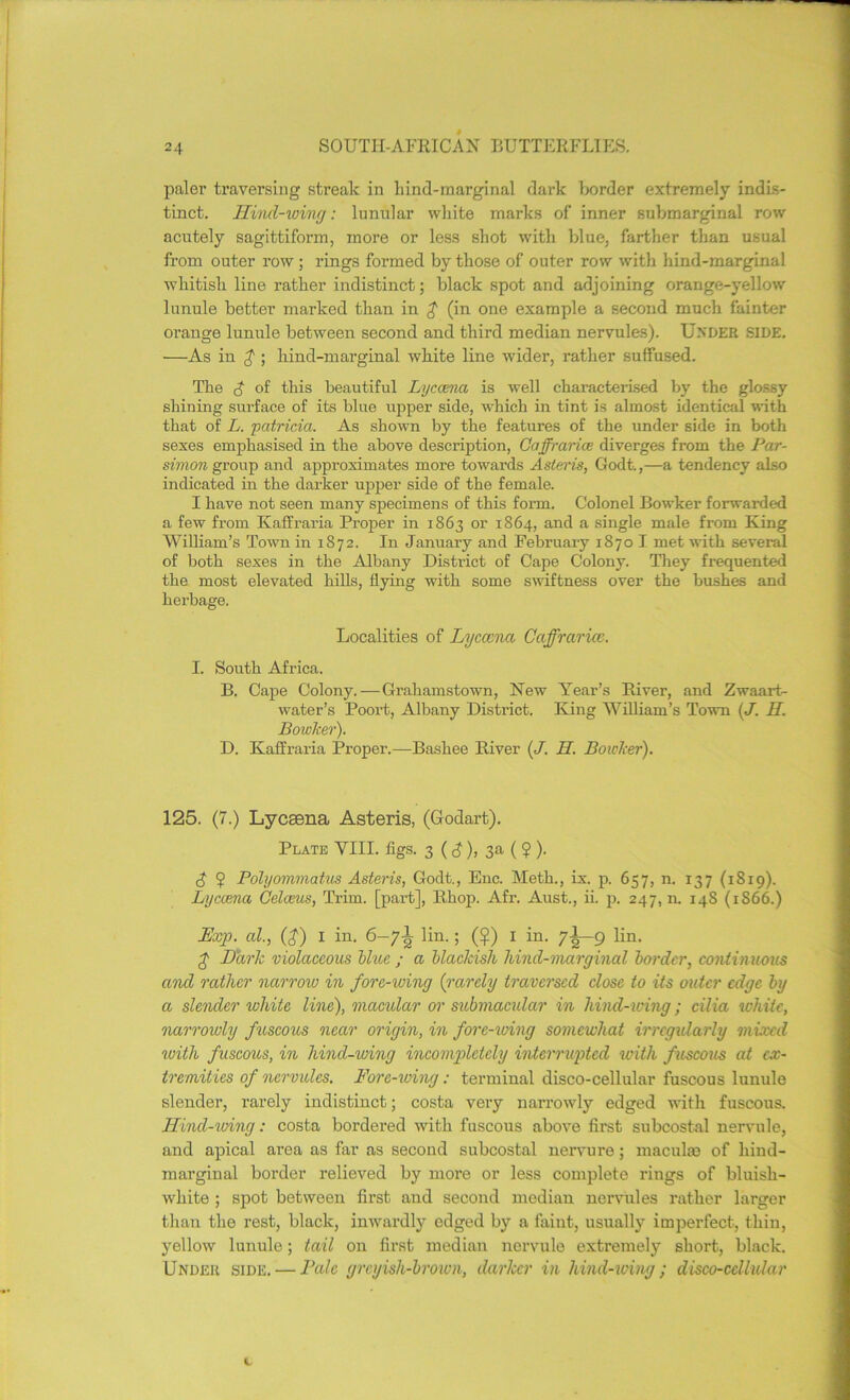 paler traversing streak in hind-marginal dark border extremely indis- tinct. Hind-wing: lunular white marks of inner submarginal row acutely sagittiform, more or less shot with blue, farther than usual from outer row; rings formed by those of outer row with hind-marginal whitish line rather indistinct; black spot and adjoining orange-yellow lunule better marked than in $ (in one example a second much fainter orange lunule between second and third median nervules). Under SIDE. ■—As in £ ; hind-marginal white line wider, rather suffused. The d of this beautiful Lyccena is well characterised by the glossy shining surface of its blue upper side, which in tint is almost identical with that of L. patricia. As shown by the features of the under side in both sexes emphasised in the above description, Caffrarice diverges from the Par- simon group and approximates more towards Asteris, Godt.,—a tendency also indicated in the darker upper side of the female. I have not seen many specimens of this form. Colonel Bowker forwarded a few from Kaffraria Proper in 1863 or 1864, and a single male from King William’s Town in 1872. In Januaiy and February 1870 I met with several of both sexes in the Albany District of Cape Colony. They frequented the most elevated hills, flying with some swiftness over the bushes and herbage. Localities of Lycccna Caffrarice. I. South Africa. B. Cape Colony.—Grahamstown, New Year’s River, and Zwaart- water’s Poort, Albany District. King William’s Town (J. H. Bowker). D. Kaffraria Proper.—Bashee River (J. H. Bowker). 125. (7.) Lycaena Asteris, (Godart). Plate YIII. figs. 3 ( d), 3a ( ? )• d $ Polyommatus Asteris, Godt., Enc. Meth., ix. p. 657, n. 137 (1819). Lyccena Celceus, Trim, [part], Rhop. Afr. Aust., ii. p. 247, n. 148 (1866.) Exp. al., ($) 1 in. 6-7^ liu.; (fj?) 1 in. 7!—9 lin. £ Dark violaceous blue ; a blackish hind-marginal border, continuous and rather narrow in fore-wing (:rarely traversed close to its outer edge by a slender white line), macular or submacidar in hind-wing; cilia white, narrowly fuscous near origin, in fore-wing somewhat irregularly mixed with fuscous, in hind-wing incompletely interrupted with fuscous at ex- tremities of nervules. Fore-wing: terminal disco-cellular fuscous lunule slender, rarely indistinct; costa very narrowly edged with fuscous. Hind-wing: costa bordered with fuscous above first subcostal nervule, and apical area as far as second subcostal nervure; maculae of hind- marginal border relieved by more or less complete rings of bluish- white ; spot between first and second median nervules rather larger than the rest, black, inwardly edged by a faint, usually imperfect, thin, yellow lunule; tail on first median nervule extremely short, black. Under side. — Pale greyish-brown, darker in hind-wing ; disco-cellular