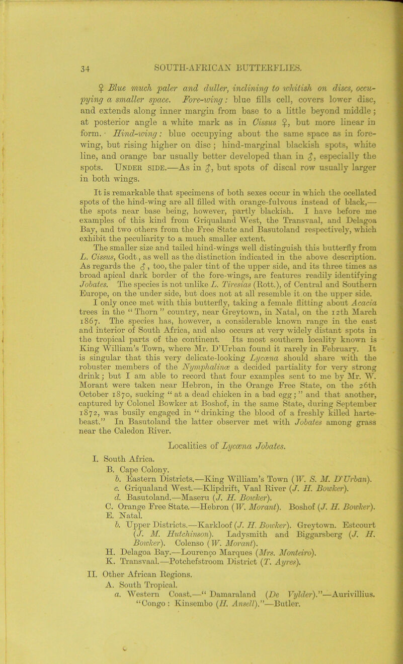 £ Blue much 'paler and duller, inclining to whitish on discs, occu- pying a smaller space. Fore-wing: blue fills cell, covers lower disc, and extends along inner margin from base to a little beyond middle; at posterior angle a white mark as in Cissus but more linear in form.- Hind-wing: blue occupying about the same space as in fore- wing, but rising higher on disc ; hind-marginal blackish spots, white line, and orange bar usually better developed than in £, especially the spots. Under side.—As in but spots of discal row usually larger in both wings. It is remarkable that specimens of both sexes occur in which the ocellated spots of the hind-wing are all filled with orange-fulvous instead of black,— the spots near base being, however, partly blackish. I have before me examples of this kind from Griqualand West, the Transvaal, and Delagoa Bay, and two others from the Free State and Basutoland respectively, which exhibit the peculiarity to a much smaller extent. The smaller size and tailed hind-wings well distinguish this butterfly from L. Cissus, Godt, as well as the distinction indicated in the above description. As regards the C, too, the paler tint of the upper side, and its three times as broad apical dark border of the fore-wings, are features readily identifying Jobates. The species is not unlike L. Tiresias (Rott.), of Central and Southern Europe, on the under side, but does not at all resemble it on the upper side. I only once met with this butterfly, taking a female flitting about Acacia trees in the “ Thorn ” country, near Greytown, in Natal, on the 12th March 1867. The species has, however, a considerable known range in the east and interior of South Africa, and also occurs at very widely distant spots in the tropical parts of the continent. Its most southern locality known is King William’s Town, where Mr. D’Urban found it rarely in February. It is singular that this very delicate-looking Lyccena should share with the robuster members of the Nymphalince a decided partiality for very strong drink; but I am able to record that four examples sent to me by Mr. W. Morant were taken near Hebron, in the Orange Free State, on the 26th October 1870, sucking “ at a dead chicken in a bad egg; ” and that another, captured by Colonel Bowker at Boshof, in the same State, during September 1872, was busily engaged in “drinking the blood of a freshly killed harte- beast.” In Basutoland the latter observer met with Jobates among grass near the Caledon River. Localities of Lycxna Jobates. I. South Africa. B. Cape Colony. b. Eastern Districts.—King William’s Town (IF. & M. D'Urban). c. Griqualand West.—Klipdrift, Vaal River (J. H. Bowker). cl. Basutoland.—Maseru ( J. H. Botcher). C. Orange Free State.—Hebron (TF. Morant). Boshof (J. H. Botcher). E. Natal. b. Upper Districts.—Karkloof (J. II. Botcher). Greytown. Estcourt (J. M. Hutchinson). Ladysmith and Biggarsberg (J. II. Botcher). Colenso (IF. Movant). H. Delagoa Bay.—Lourenco Marques (Mrs. Monteiro). K. Transvaal.—Potchefstroom District (T. Ayres). II. Other African Regions. A. South Tropical. a. Western Coast.—“ Damaraland (De Vylder).”—Aurivillius. “Congo: Kinscmbo (II. Anscll).”—Butler.