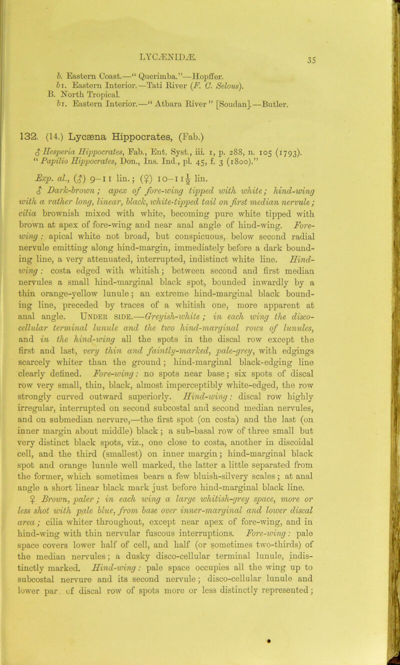 35 b. Eastern Coast.—“ Querimba.”—Hopffer. hi. Eastern Interior.—Tati River (F. 0. Selous). B. North Tropical. 61. Eastern Interior.—“ Atbara River” [Soudan],—Butler. 132. (14.) Lycsena Hippocrates, (Fab.) $ Hesperia Hippocrates, Fab., Ent. Syst., iii. i, p. 288, n. 105 (1793). “ Papilio Hippocrates, Don., Ins. Inti, pi. 45, f. 3 (1800).” Exp. al., {$) 9-11 lin.; (g) 10-11^ lin. $ Dark-brown; apex of fore-wing tipped with white; hind-wing with a rather long, linear, black, white-tipped tail on first median nervule ; cilia brownish mixed with white, becoming pure white tipped with brown at apex of fore-wing and near anal angle of hind-wing. Fore- wing : apical white not broad, but conspicuous, below second radial nervule emitting along hind-margin, immediately before a dark bound- ing line, a very attenuated, interrupted, indistinct white line. Hind- wing : costa edged with whitish; between second and fh’st median nervules a small hind-marginal black spot, bounded inwardly by a thin orange-yellow lunule; an extreme hind-marginal black bound- ing line, preceded by traces of a whitish one, more apparent at anal angle. Under side.—Greyish-white; in each wing the disco- cellular terminal lunule and the two hind-marginal roivs of lunules, and in the hind-xoing all the spots in the discal row except the first and last, very thin and faintly-marked, pale-grey, with edgings scarcely whiter than the ground; hind-marginal black-edging line clearly defined. Fore-vnxig: no spots near base; six spots of discal row very small, thin, black, almost imperceptibly white-edged, the row strongly curved outward superiorly. Hind-wing: discal row highly irregular, interrupted on second subcostal and second median nervules, and on submedian nervure,—the first spot (on costa) and the last (on inner margin about middle) black; a sub-basal row of three small but very distinct black spots, viz., one close to costa, another in discoidal cell, and the third (smallest) on inner margin; hind-marginal black spot and orange lunule well marked, the latter a little separated from the former, which sometimes bears a few bluish-silvery scales; at anal angle a short linear black mark just before hind-marginal black line. $ Broxon, paler ; in each xving a large whitish-grey space, xnore or less shot with p.ale blxce, fx-om base over inner-marginal and lower discal area; cilia whiter throughout, except near apex of fore-wing, and in hind-wing with thin nervular fuscous interruptions. Fore-xving: pale space covers lower half of cell, and half (or sometimes two-thirds) of the median nervules; a dusky disco-cellular terminal lunule, indis- tinctly marked. Hind-wing: pale space occupies all the wing up to subcostal nervure and its second nervule ; disco-cellular lunule and lower par of discal row of spots more or less distinctly represented;