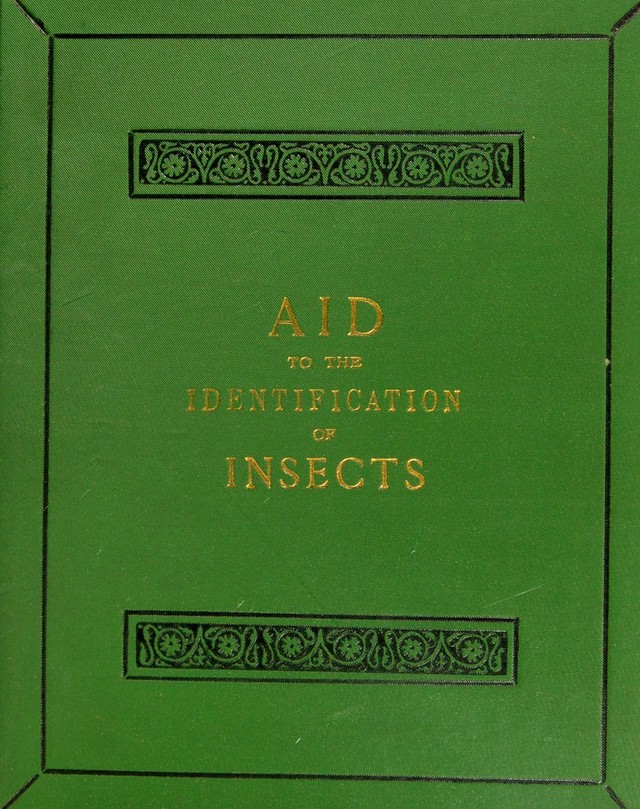 digitised image 1