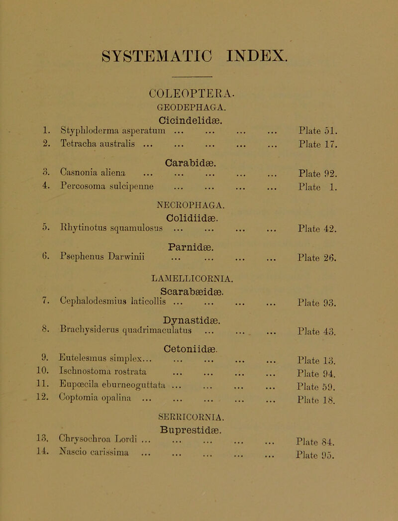 SYSTEMATIC INDEX. COLEOPTERA. GEODEPHAGA. Cicindelidse. 1. S typhloderma asperatum 2. Tetracha australis ... Carabidse. 3. Casnonia aliena 4. Percosoma sulcipenne NECROPHAGA. Colidiidse. 5. Rhytinotus squamulosus ... Parnidse. 6. Psephenus Darwinii LAMELLICORNIA. Scarabseidae. 7. Cephalodesmius laticollis ... Dynastidae. 8. Brachysiderus quadnmaculatus Cetoniidae. 9. Eutelesmus simplex... 10. Ischnostoma rostrata 11. Eupoecila eburneoguttata ... 12. Coptomia opalina ... SERRICORNIA. Buprestidae. 13. Chrysochroa Lordi ... 14. Nascio caris'sima Plate 51. Plate 17. Plate 92. Plate 1. Plate 42. Plate 26. Plate 93. Plate 43. Plate 13. Plate 94. Plate 59. Plate 18. Plate 84.