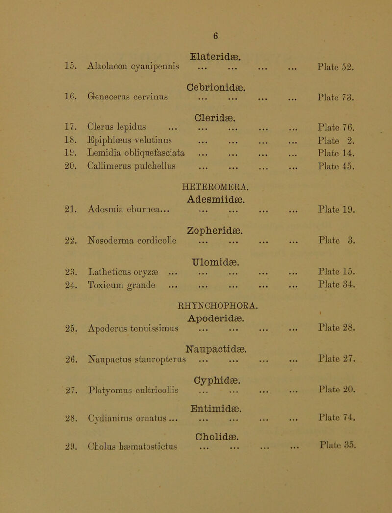 15. Alaolacon cyanipennis Elateridae. ••• ••• ••• ... Plate 52. 16. Genecerus cervinus Cebrionidse. ... Plate 73. 17. Clerus lepidus Cleridse. ••• ••• ••• ... Plate 76. 18. Epiphloeus velufcinus ••• ••• ... Plate 2. 19. Lemidia obliquefasciata ... Plate 14. 20. Callimerus pulchellus ... ... Plate 45. HETEROMERA. 21. Adesmia eburnea... Adesmiidse. ... Plate 19. 22. Nosoderma cordicolle Zopberidse. ... Plate 3. 23. Latheticus oryzse ... Ulomidse. ••• ••• ••• ... Plate 15. 24. Toxicum grande ••• ••• ••• ... Plate 34. RHYNCHOPHORA. 25. Apoderus tenuissimus Apoderidee. 1 ... Plate 28. 26. Naupactidee. Naupactus stauropterus ... Plate 27. 27. Platyomus cultricollis Cypbidae. Plate 20. 28. Oydianirus ornatus... Entimidee. ••• ••• ••• ... Plate 74. Cliolidse. ••• ••• •••