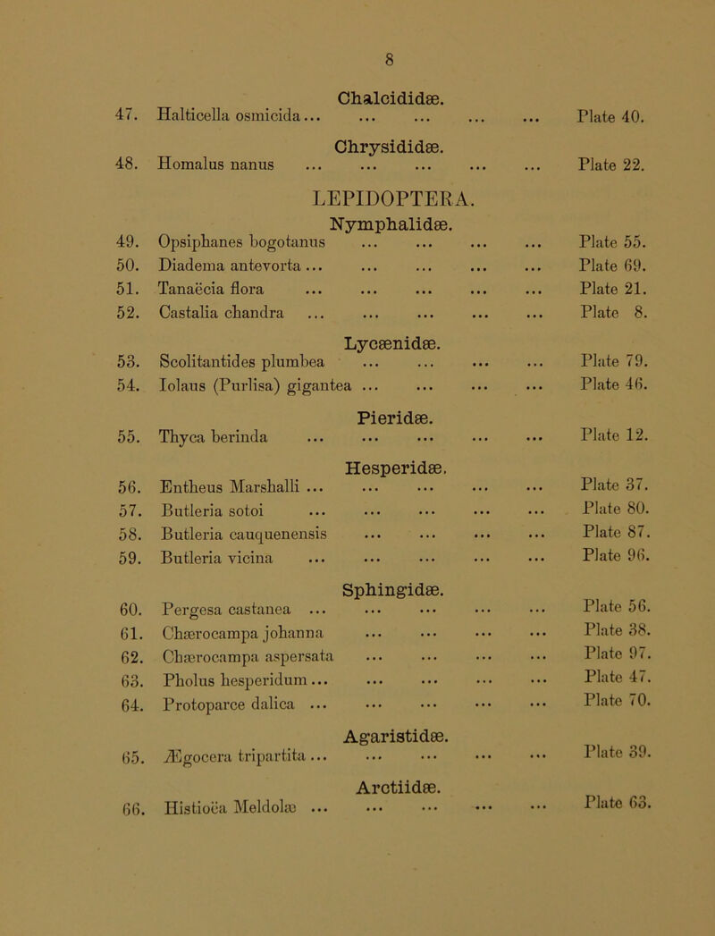 Chalcididae. 47. Halticella osmicida... Plate 40. 48. Homalus nanus Chrysididae. Plate 22. LEPIDOPTERA. Nymphalidae. 49. Opsiphanes bogotanus ... ... 50. Diadema antevorta ... ... ... 51. Tanaecia flora • • • ■ • • 52. Castalia chandra ... ... 53. Scolitantides pluinbea Lycaenidae. 54. Iolaus (Purlisa) gigantea ... Pieridae. 55. Thyca berinda ... ... 56. Entbeus Marshalli ... Hesperidae. ... ... 57. Butleria sotoi ... ... 58. Butleria cauquenensis 59. Butleria vicina ... ... Sphingidae. 60. Pergesa castanea ... 61. Chserocainpa johanna ... 62. Chaerocampa aspersata ... 63. Pholus hesperidum ... ... ... 64. Protoparce dalica ... ... ... Ag’aristidae. 65. iEgocera tripartita ... Arctiidae. Plate 55. Plate 69. Plate 21. Plate 8. Plate 79. Plate 46. Plate 12. Plate 37. Plate 80. Plate 87. Plate 96. Plate 56. Plate 38. Plate 97. Plate 47. Plate 70. Plate 39. 66. Histioea Meldolio ...