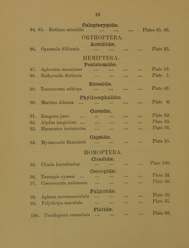 84, Calopterygidee. 85. Eutbore mirabilis Plates 65, 66. 86. ORTHOPTERA. Acridiidee. Opsomala filiformis ... Plate 23. 87. IiEMIPTERA. Pentatomidee. Aplerotus maculatus ... Plate 16. 88. Batbycoelia distincta Plate 7. 89. Edessidse. Tesseratoraa getbiops Plate 49. 90. Pliylloceplialidse. Macrina dilatata ... ... Plate 6. 91. Coreidse. Euagonajuno ... Plate 82. 92. Alydus tangiricus ... ... Plate 33. 93. Harmostes incisuratus Plate 91. 94. Capsid®. Mvrmecoris Saundersi ... Plate 25. - HOMOPTERA. 95. Cicadidse. Cicada kuruduadua ... Plate 100. 96. Cercopidee. Tomaspis nyassaa ... ... Plate 24. 97. Cosmoscarta andamana Plate 58. Fulg-oridte. ... Plate 50. 98. Apbana novemmaculata ... 99. Polydictya maculata ... Plate 41. Flatidse. ... Plate 83. 100. Pceciloptera consociata