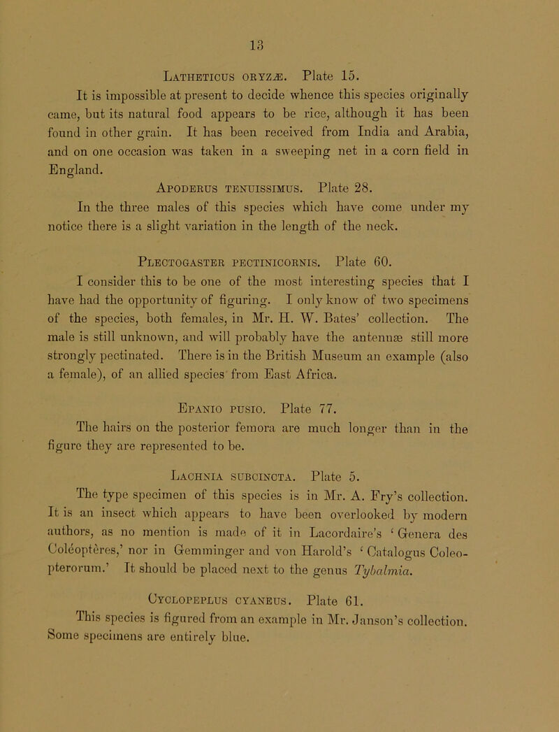 Latheticus oryzzg. Plate 15. It is impossible at present to decide whence this species originally came, but its natural food appears to be rice, although it has been found in other grain. It has been received from India and Arabia, and on one occasion was taken in a sweeping net in a corn field in England. Apoderus tenuissimus. Plate 28. In the three males of this species which have come under my notice there is a slight variation in the length of the neck. Plectogaster pectinicornis. Plate 60. I consider this to be one of the most interesting si^ecies that I have had the opportunity of figuring. I only know of twTo specimens of the species, both females, in Mr. H. W. Bates’ collection. The male is still unknown, and wall probably have the antennae still more strongly pectinated. There is in the British Museum an example (also a female), of an allied species from East Africa. Epanio pusio. Plate 77. The hairs on the posterior femora are much longer than in the figure they are represented to be. Lachnia subcincta. Plate 5. The type specimen of this species is in Mr. A. Fry’s collection. It is an insect which appears to have been overlooked by modern authors, as no mention is made of it in Lacordaire’s ‘ Genera des Coleopteres,’ nor in Gemminger and von Harold’s £ Catalogus Coleo- pterorum.’ It should be placed next to the genus Tybalmici. Cyclopeplus cyaneus. Plate 61. This species is figured from an example in Mr. Janson’s collection. Some specimens are entirely blue.