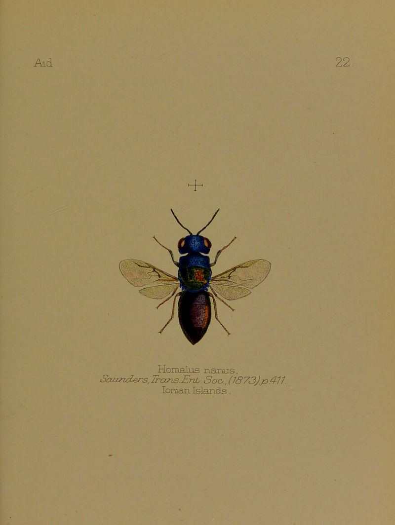 ALd 22 + Hornalus nanus, SonnrL&rs, Irons.Erdb. Soc(1<373).p4-11’ Ionian Islands.