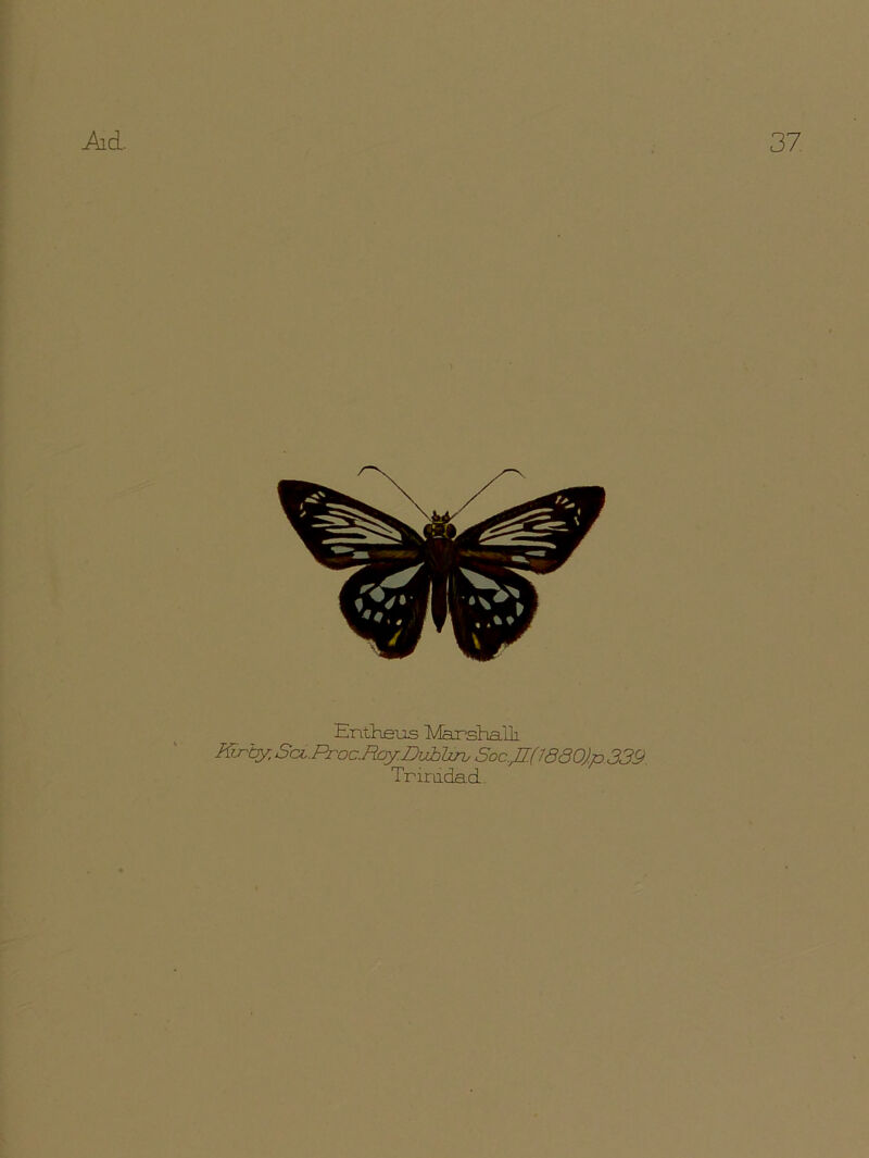 37 Ad. Entheus Marshalh. Ktrhy, Sci.Proc.Roy.Dubhrb Soc.fl(W80).p.339 Triradad.