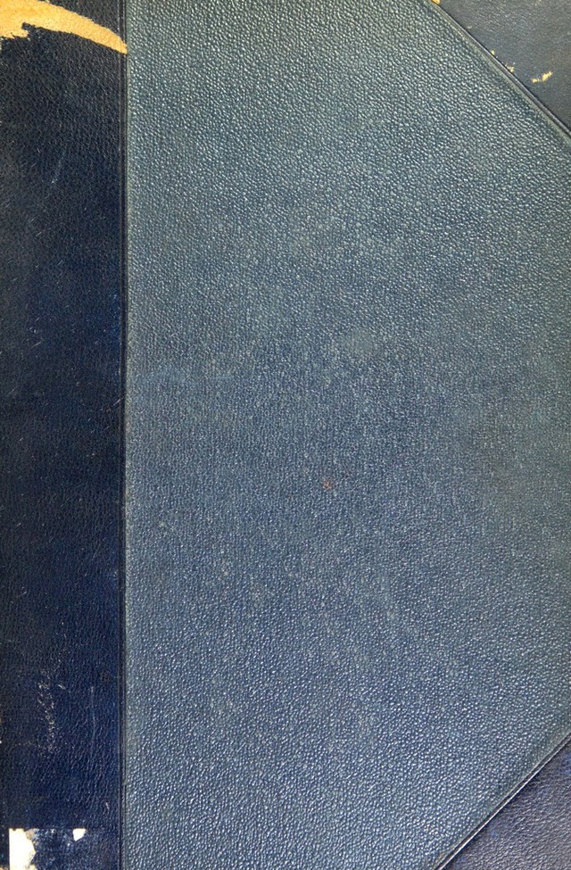 No text description is available for this image